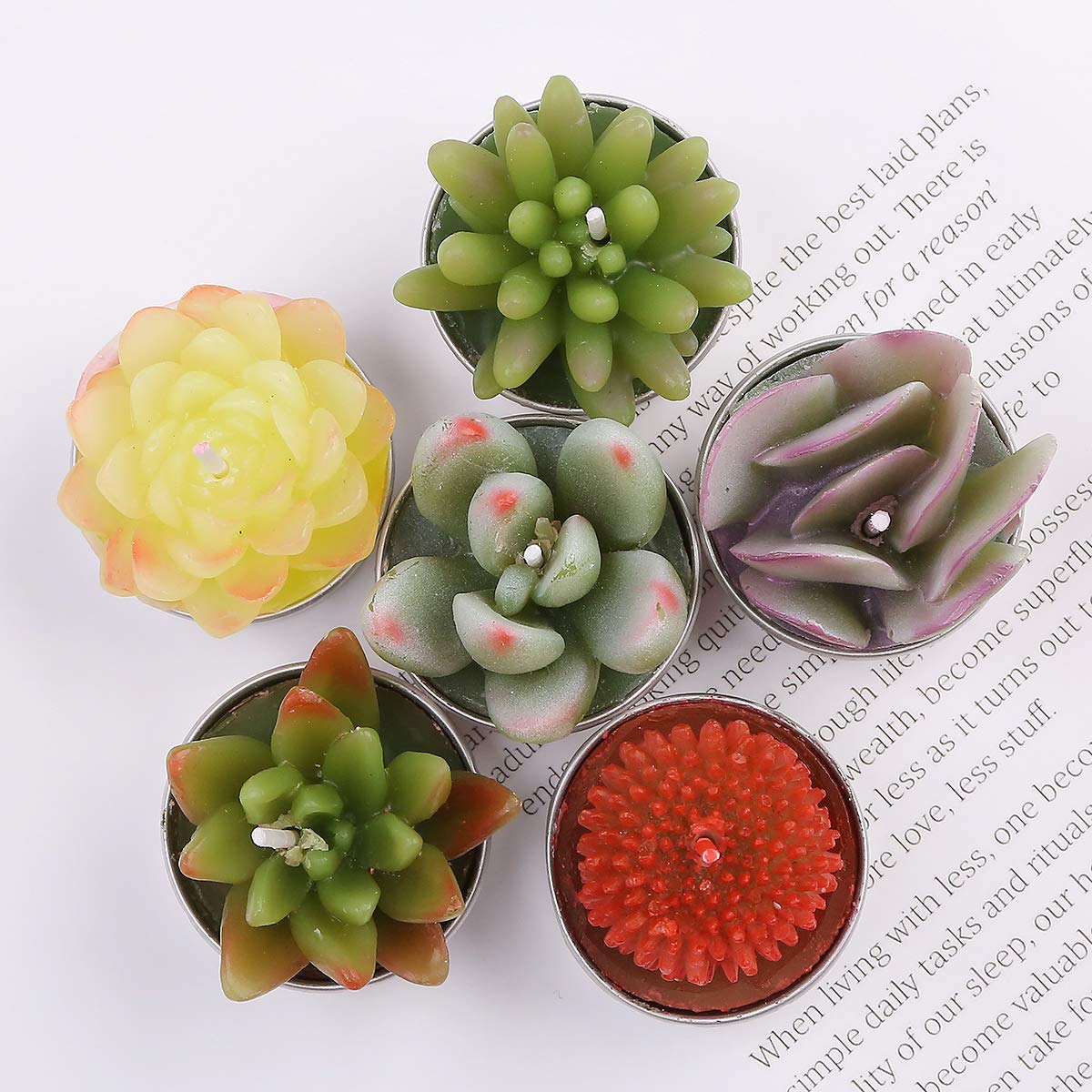 Succulent Cactus Tea Light Candles Unscented 6pcs Assorted Decor Gift Sets