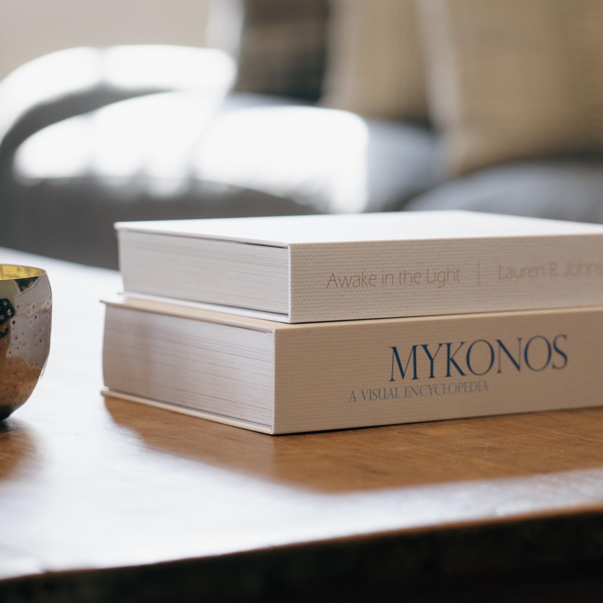 Decorative Faux Books, 12 Fake Books for Bookshelf Decor