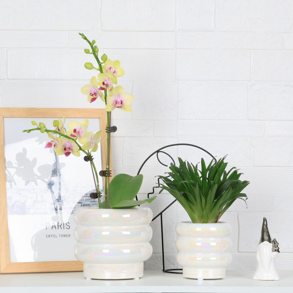 Ceramic Plant Pots for Indoor Plants, Rainbow Pearl Glaze Planter with Planters for Plants with Drainage Hole