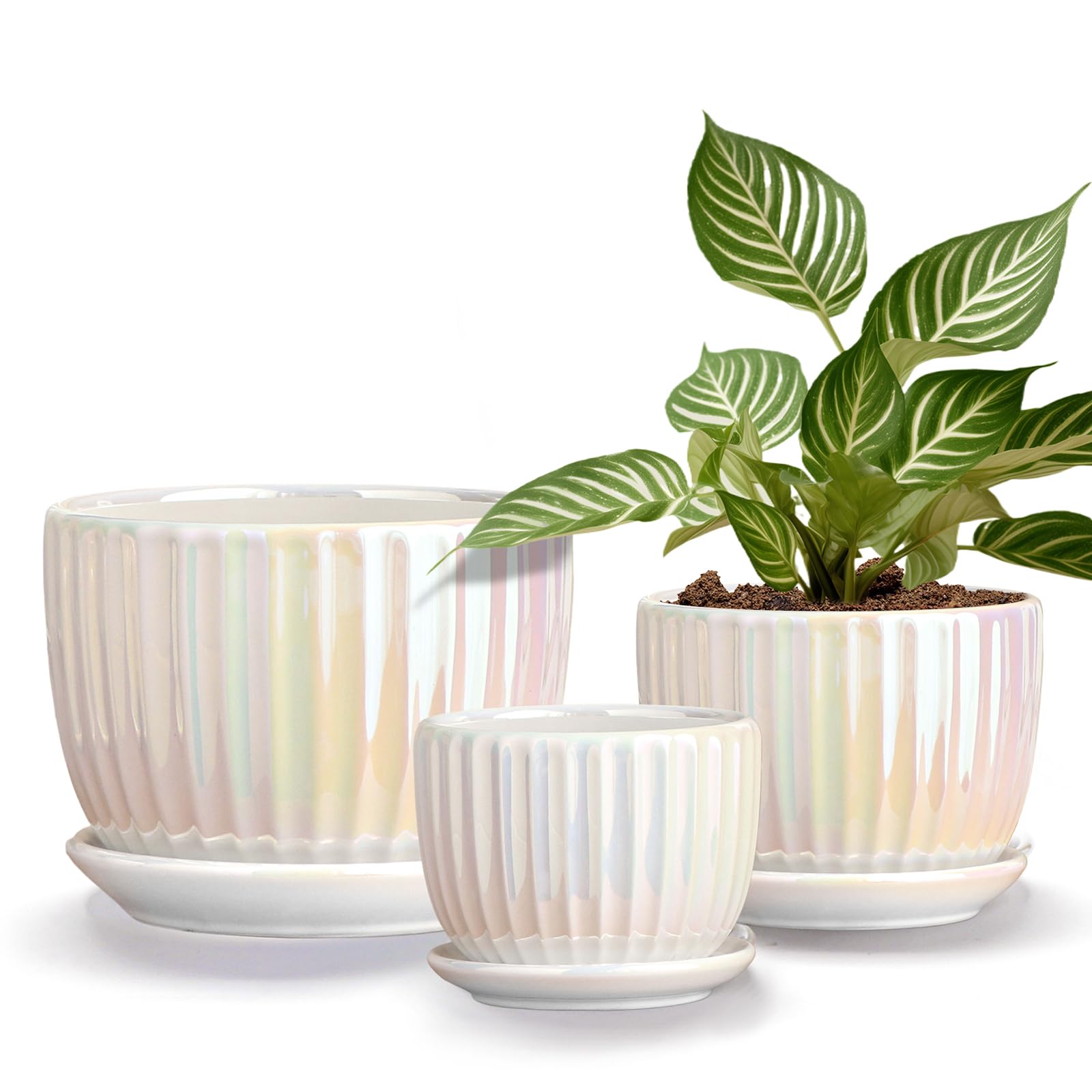 Ceramic Flower Pots, 4"+5"+6" Inch Small Glazed Succulent Planters with Drainage Hole, Modern Indoor Decorative Plant Pots Set of 3,Garden Pots with Saucer