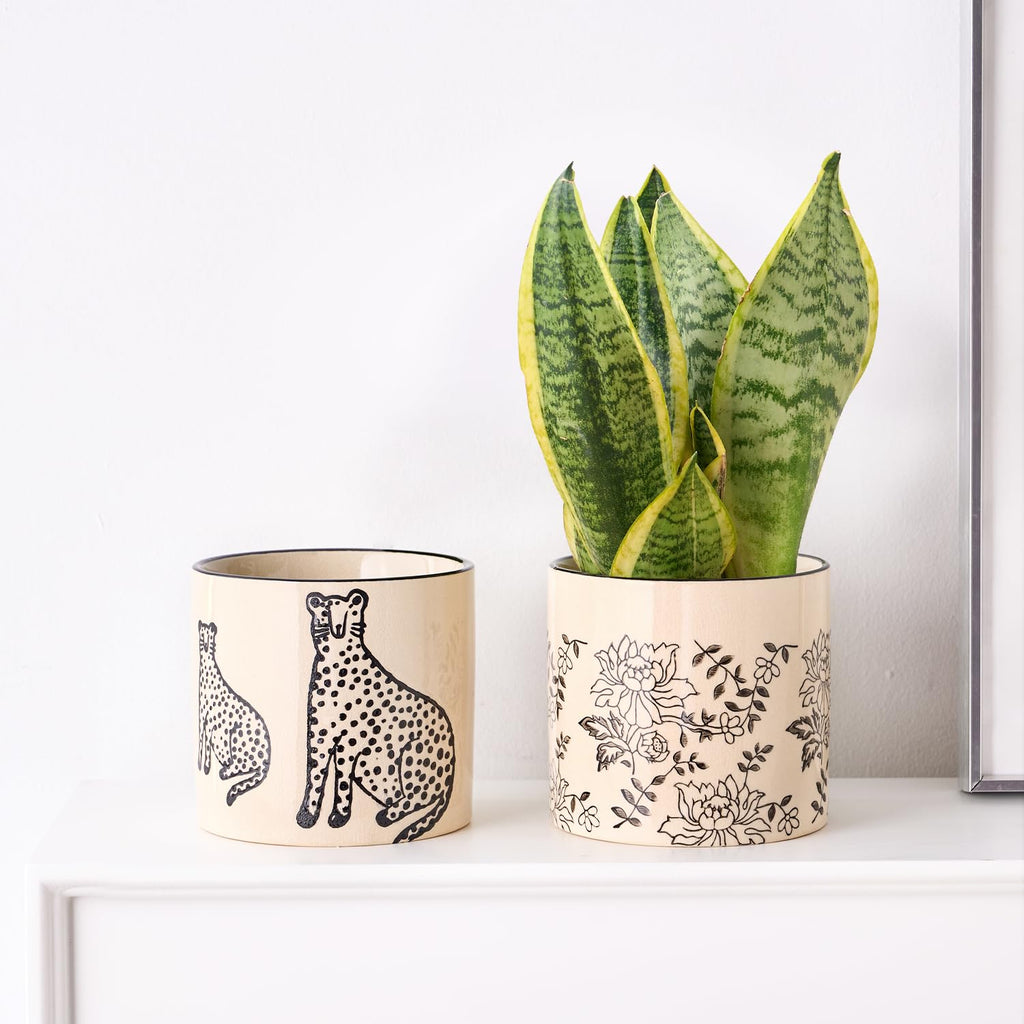 Ceramic Planters for Indoor Plants, Small Plant Pots with Drainage, Unique Decorative Cute Flower Pot Panthers Round Flowerpots 5 Inch