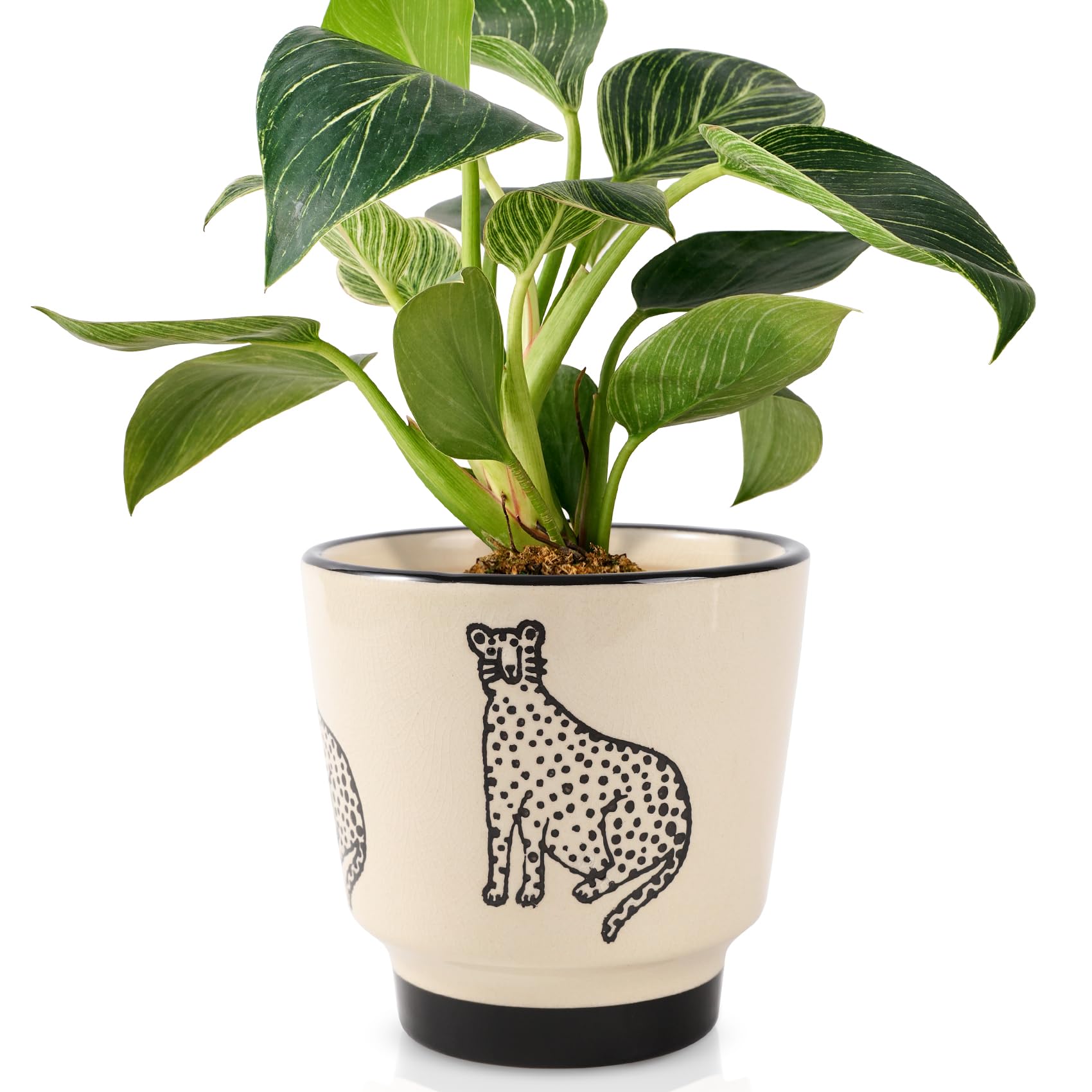 Ceramic Planters for Indoor Plants, Small Plant Pots with Drainage, Unique Decorative Cute Flower Pot Panthers Round Flowerpots 5 Inch