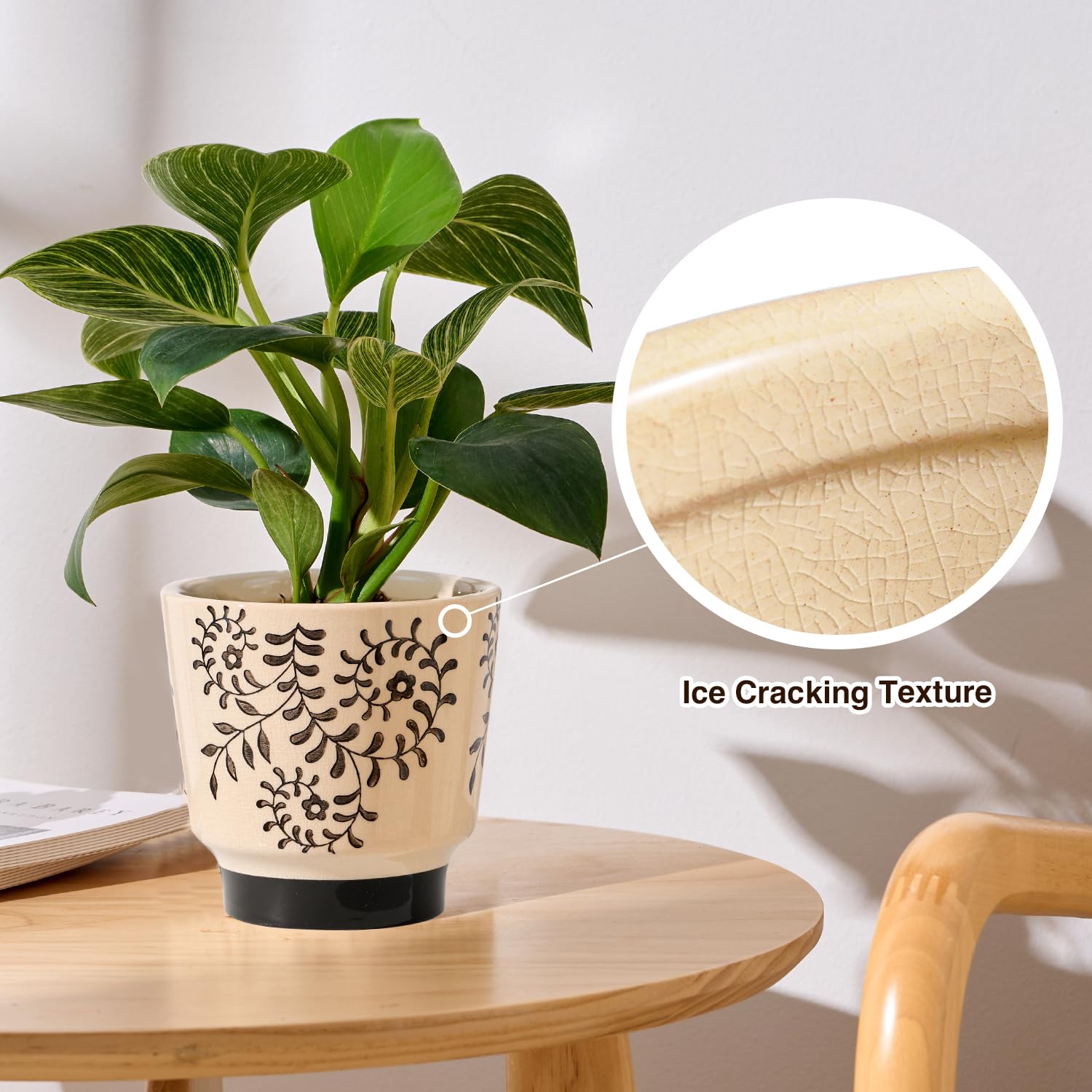 Ceramic Planters for Indoor Plants, Small Plant Pots with Drainage, Unique Decorative Cute Flower Pot Panthers Round Flowerpots 5 Inch