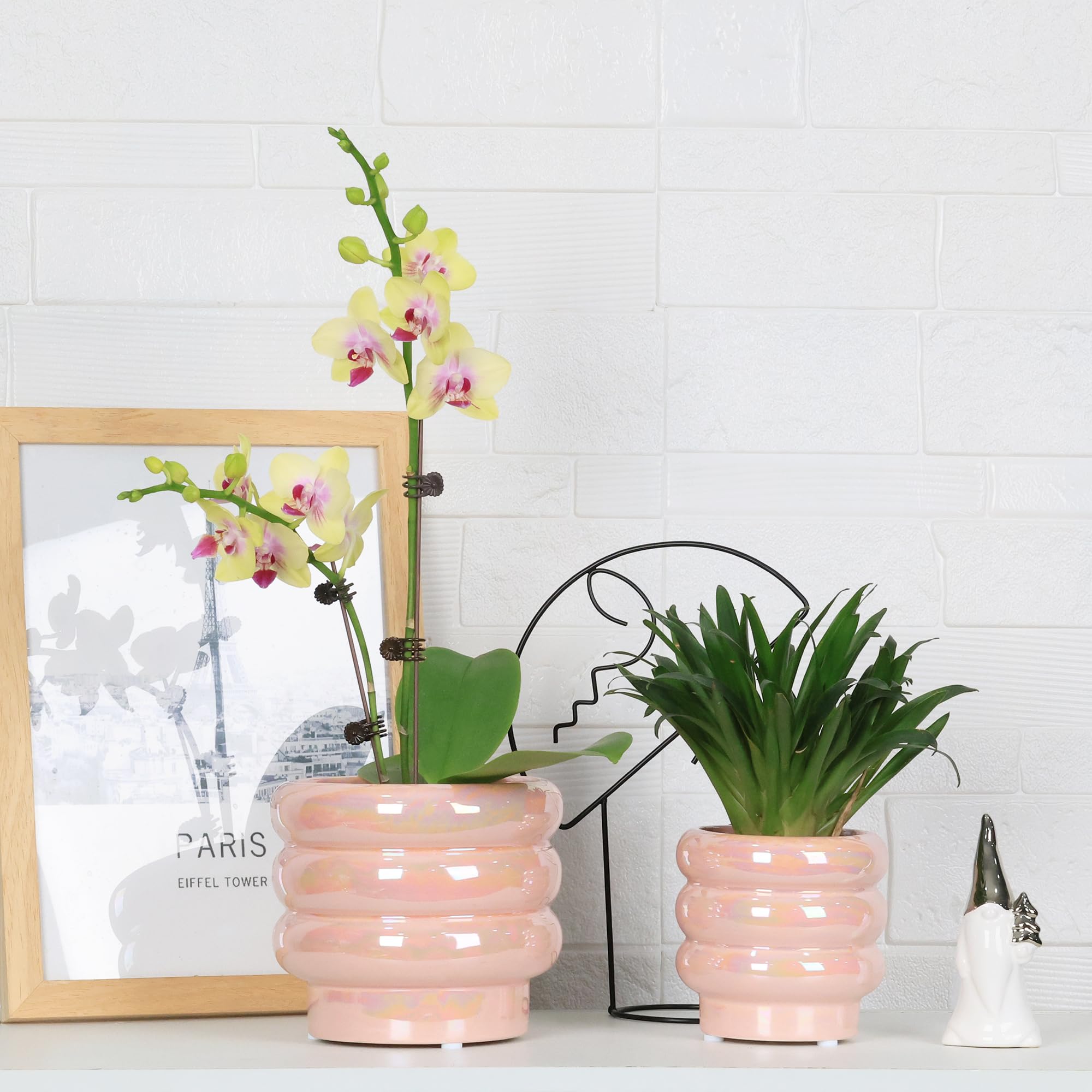 Ceramic Plant Pots for Indoor Plants, Rainbow Pearl Glaze Planter with Planters for Plants with Drainage Hole