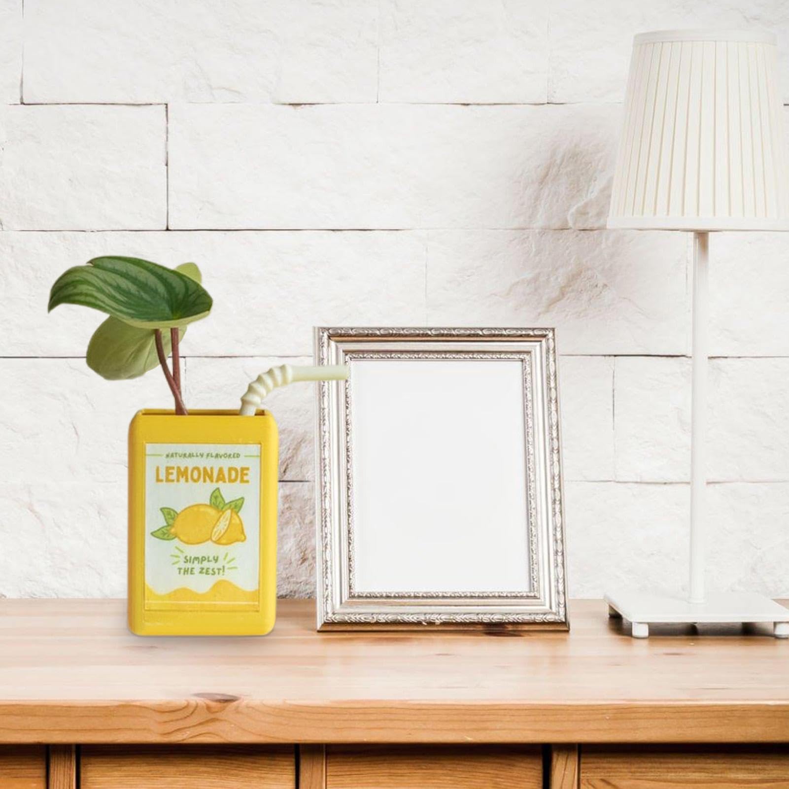 Juice Box Vase - Cute Planter Novel Design