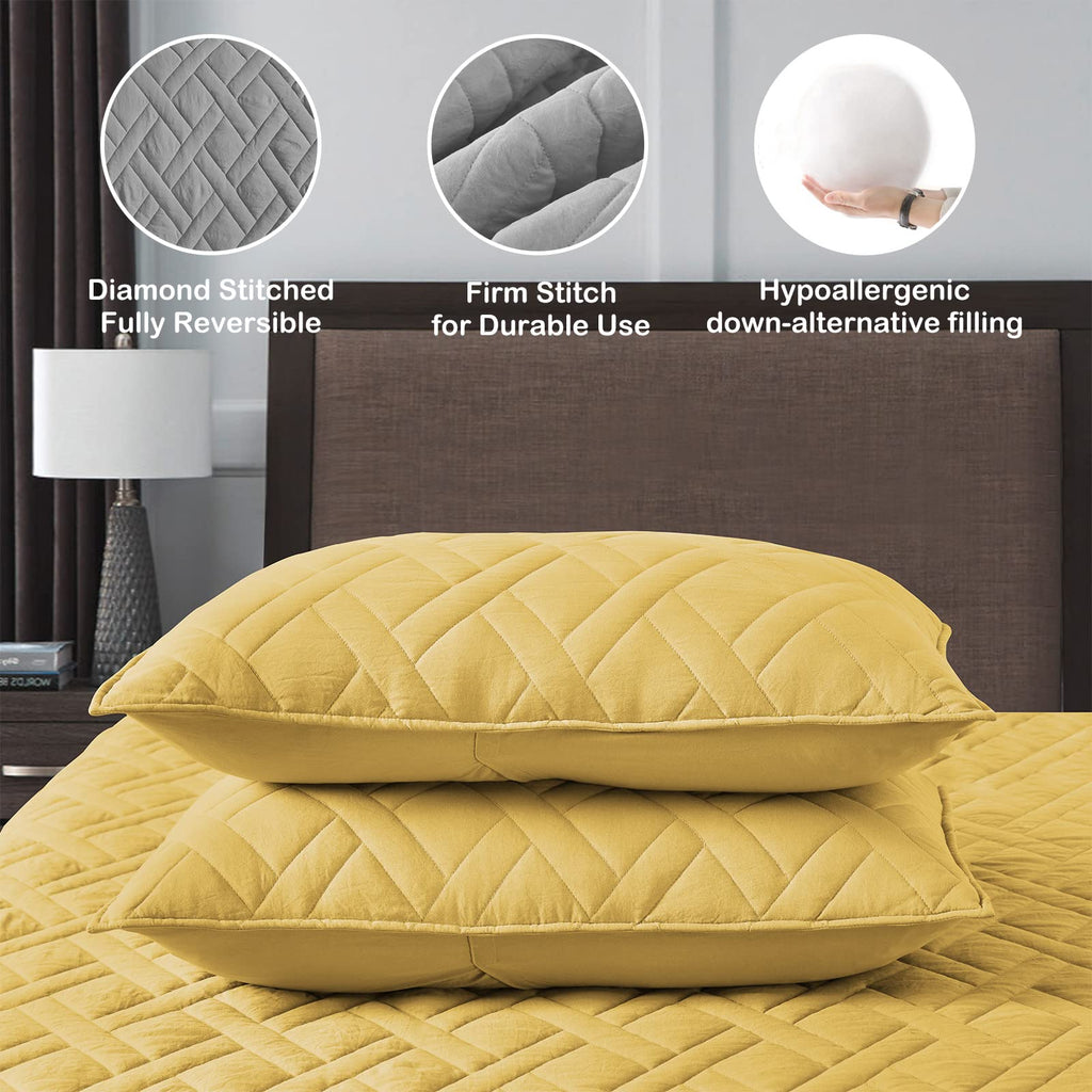 Quilt Size Lightweight Quilt for Summer Ultra-Soft Microfiber Modern Style Quilted Clouds Pattern Bedspread Quit Set 3 Pieces(1 Quilt and 2 Pillow Shams)