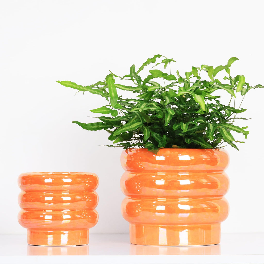 Ceramic Plant Pots for Indoor Plants, Rainbow Pearl Glaze Planter with Planters for Plants with Drainage Hole