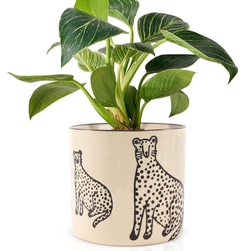 Ceramic Planters for Indoor Plants, Small Plant Pots with Drainage, Unique Decorative Cute Flower Pot Panthers Round Flowerpots 5 Inch