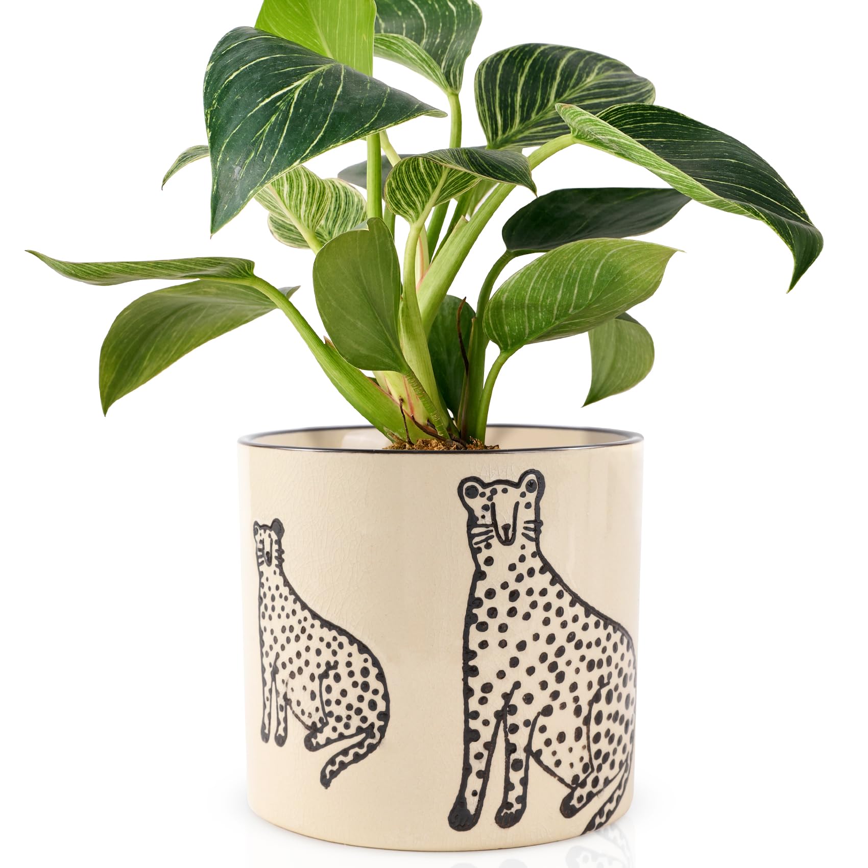 Ceramic Planters for Indoor Plants, Small Plant Pots with Drainage, Unique Decorative Cute Flower Pot Panthers Round Flowerpots 5 Inch