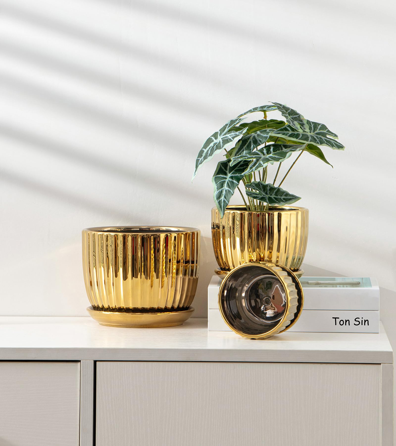 Ceramic Flower Pots, 4"+5"+6" Inch Small Glazed Succulent Planters with Drainage Hole, Modern Indoor Decorative Plant Pots Set of 3,Garden Pots with Saucer