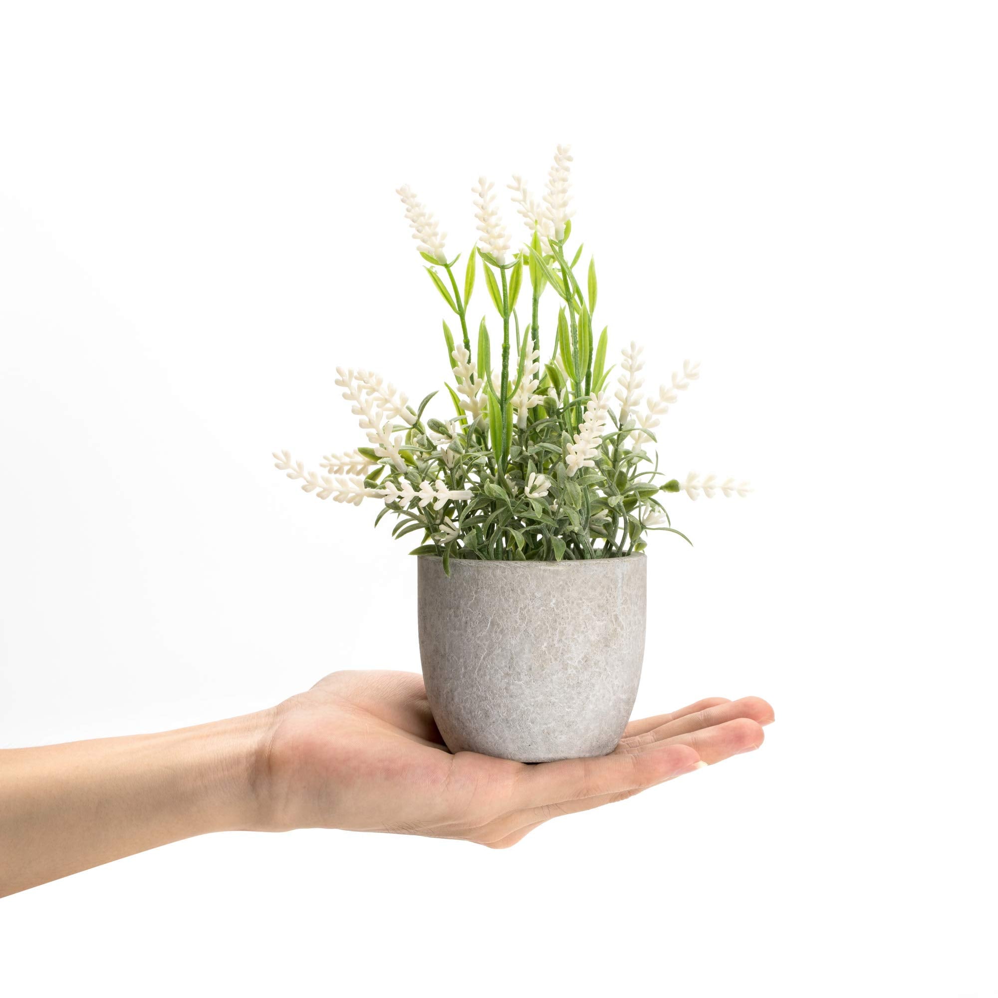 Fake Flowers in Vase