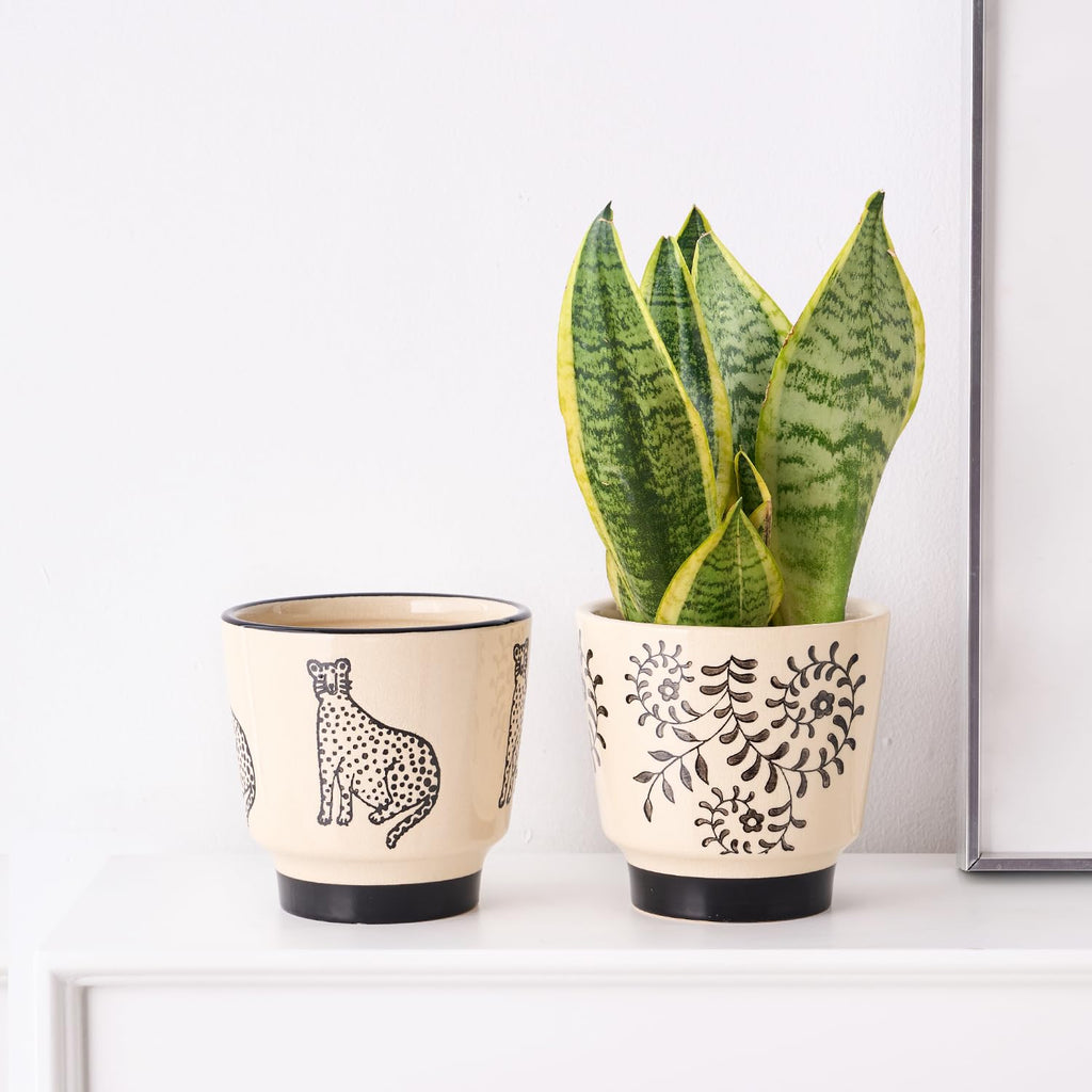 Ceramic Planters for Indoor Plants, Small Plant Pots with Drainage, Unique Decorative Cute Flower Pot Panthers Round Flowerpots 5 Inch