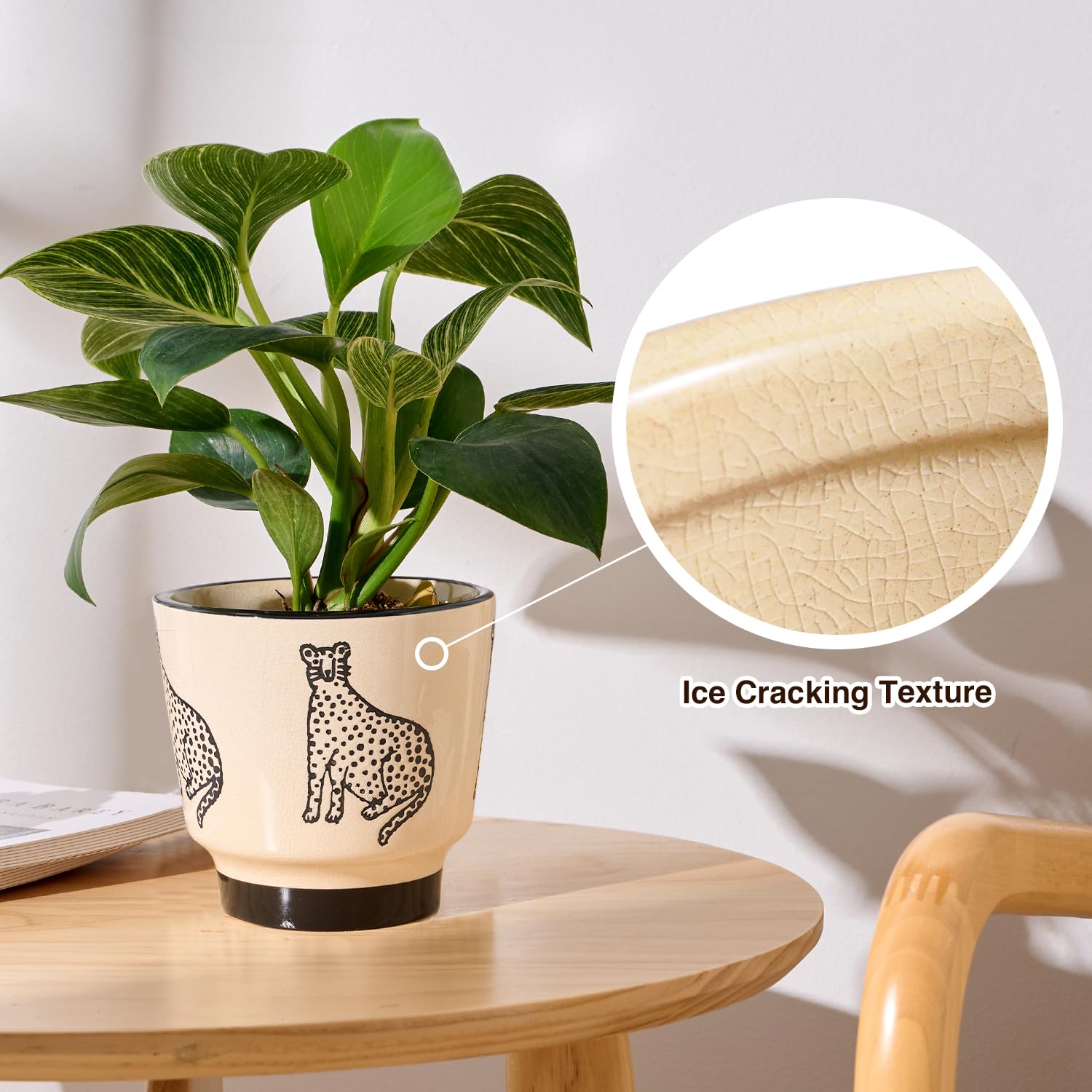 Ceramic Planters for Indoor Plants, Small Plant Pots with Drainage, Unique Decorative Cute Flower Pot Panthers Round Flowerpots 5 Inch