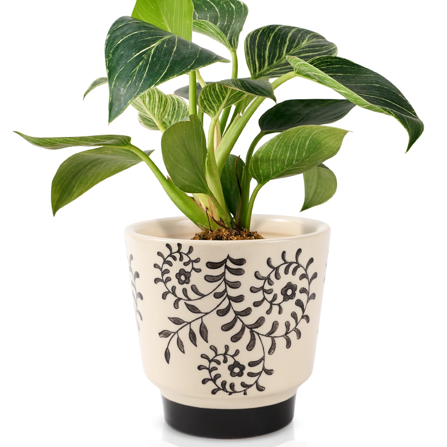 Ceramic Planters for Indoor Plants, Small Plant Pots with Drainage, Unique Decorative Cute Flower Pot Panthers Round Flowerpots 5 Inch