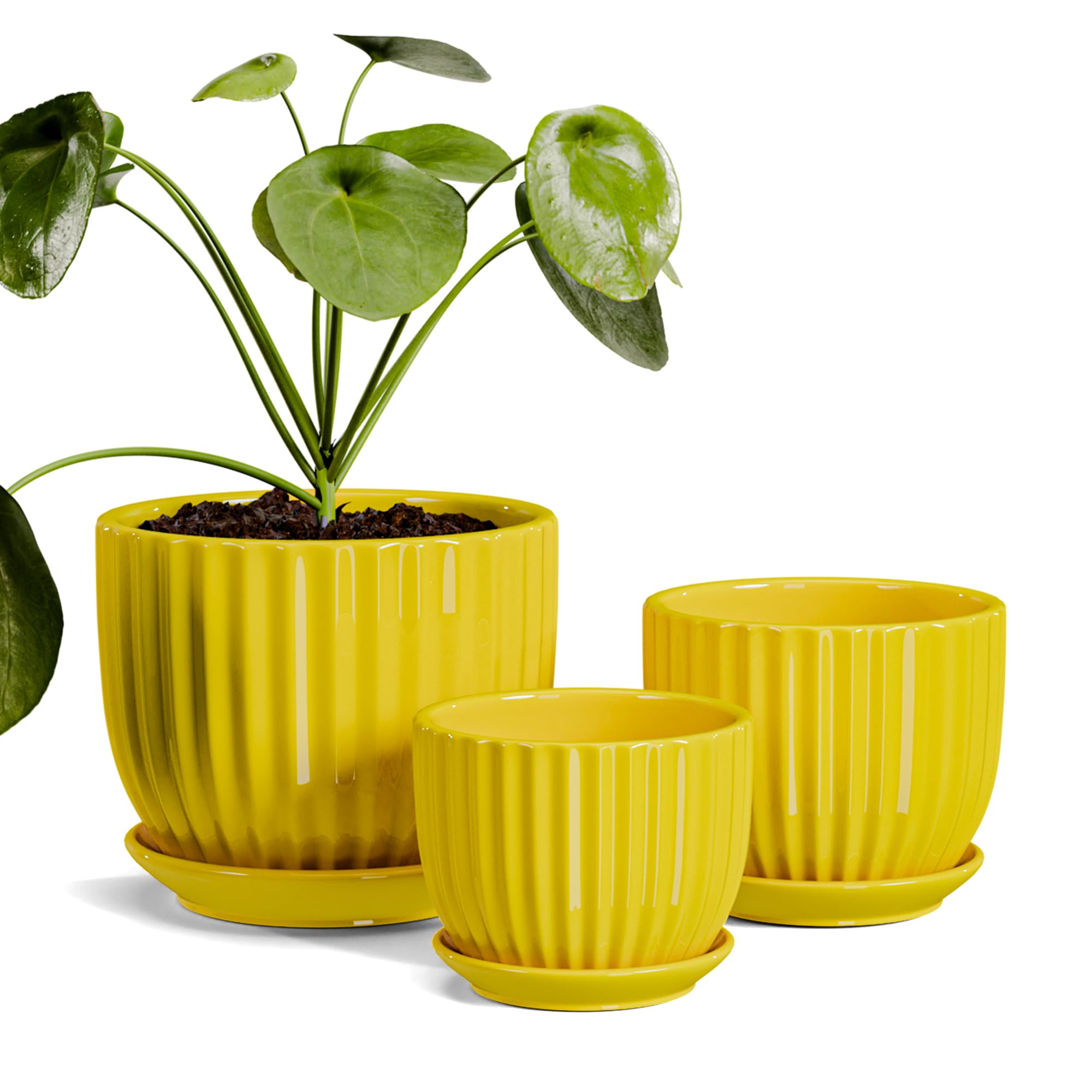 Ceramic Flower Pots, 4"+5"+6" Inch Small Glazed Succulent Planters with Drainage Hole, Modern Indoor Decorative Plant Pots Set of 3,Garden Pots with Saucer