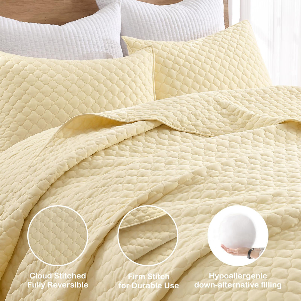 Quilt Size Lightweight Quilt for Summer Ultra-Soft Microfiber Modern Style Quilted Clouds Pattern Bedspread Quit Set 3 Pieces(1 Quilt and 2 Pillow Shams)