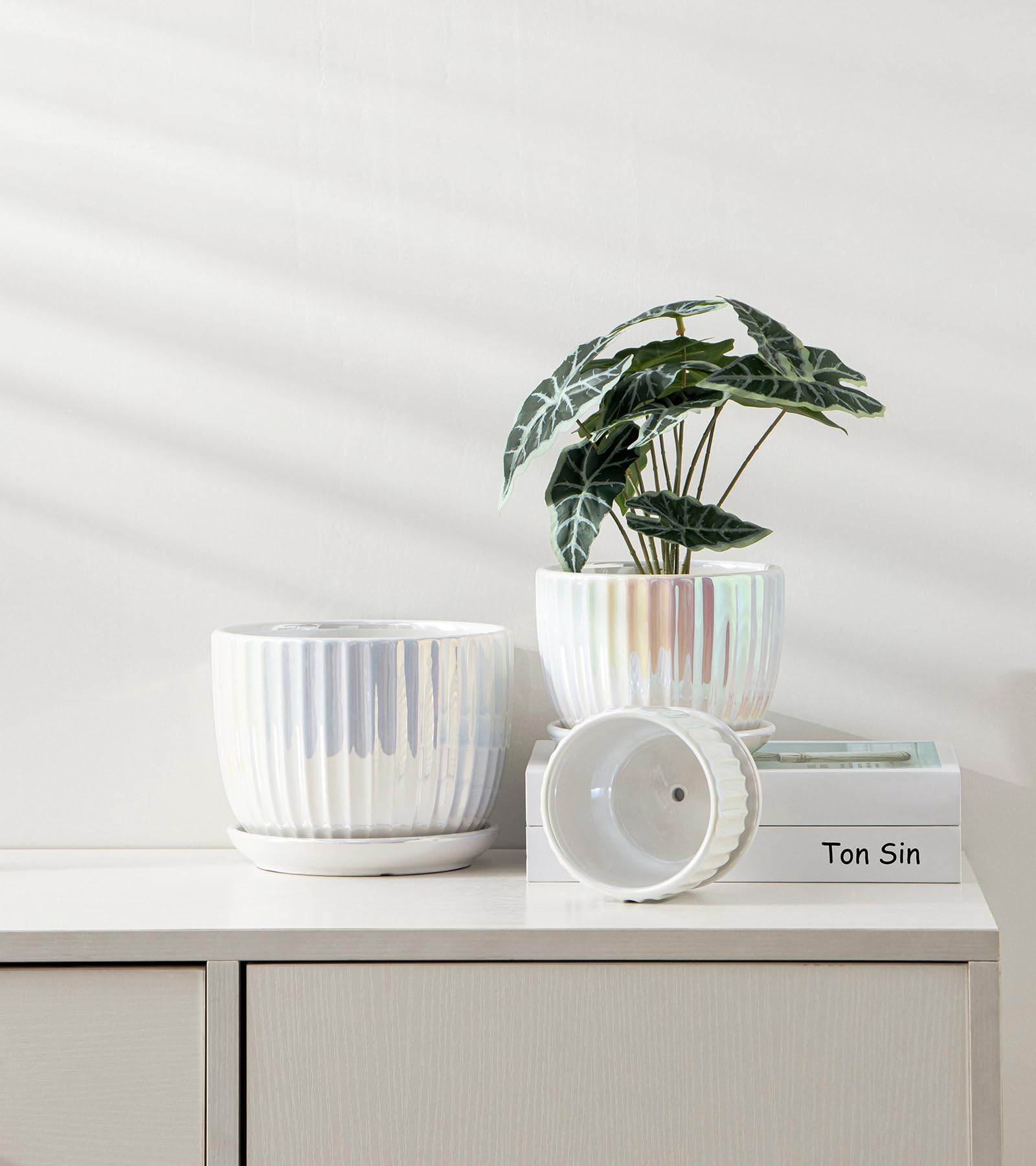 Ceramic Flower Pots, 4"+5"+6" Inch Small Glazed Succulent Planters with Drainage Hole, Modern Indoor Decorative Plant Pots Set of 3,Garden Pots with Saucer