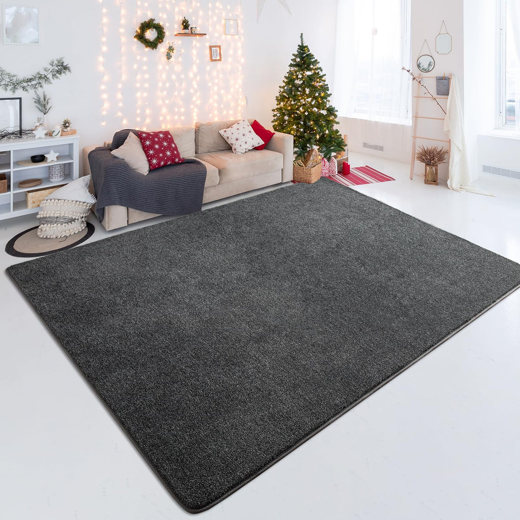 Shag Rugs with Memory Foam for Living Room Dorm, Machine Washable Carpet