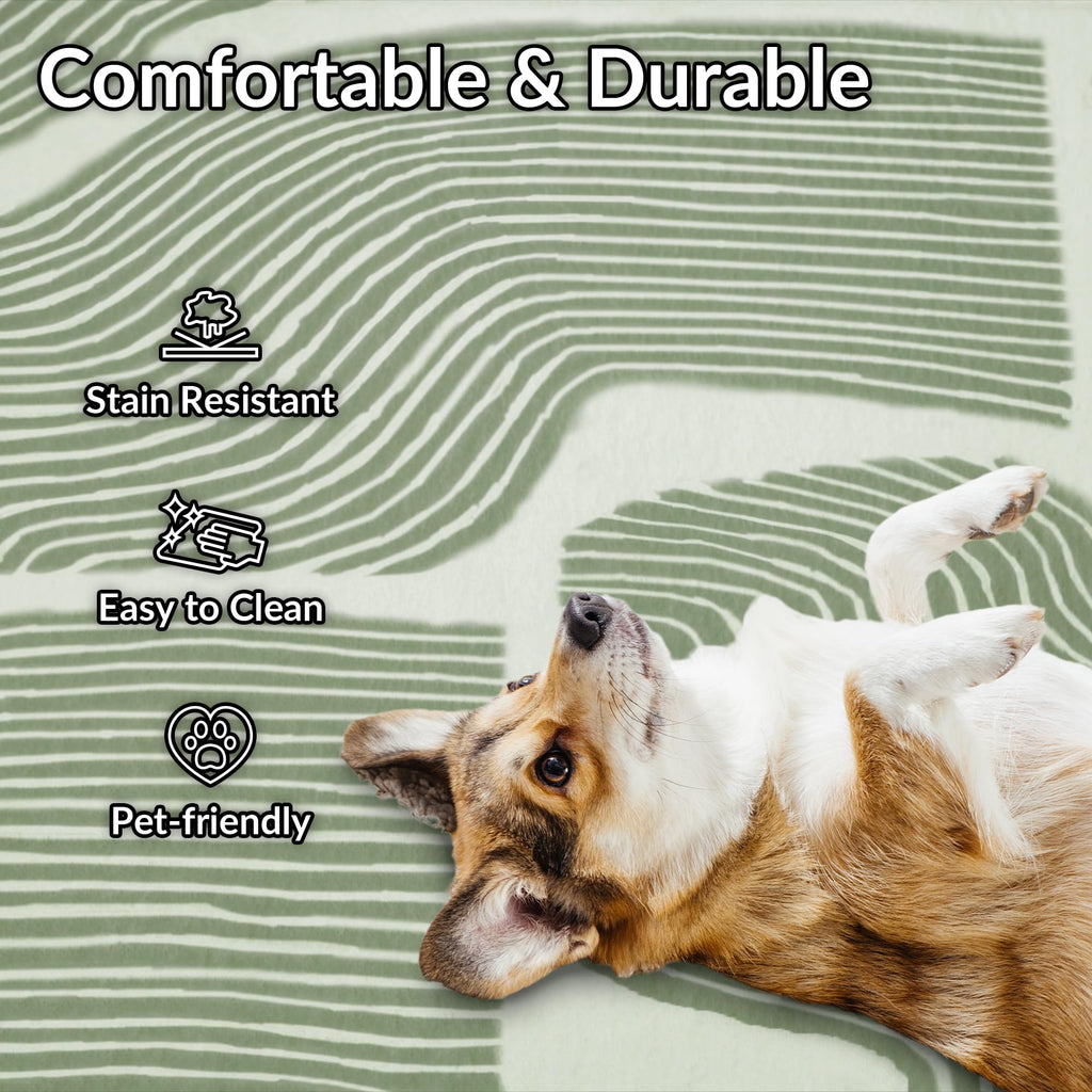 Zen Garden Area Rug - Ultra Soft Area Rug, Non Slip, Stain Resistant Living Room Rug, Washable Area Rugs for Living Room, Rugs for Bedroom