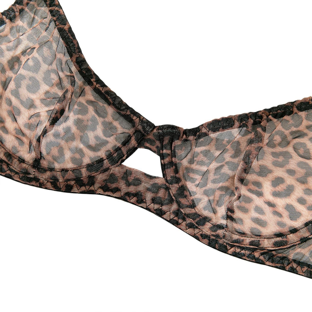 Sexy Mesh Sheer Push Up Lingerie Set