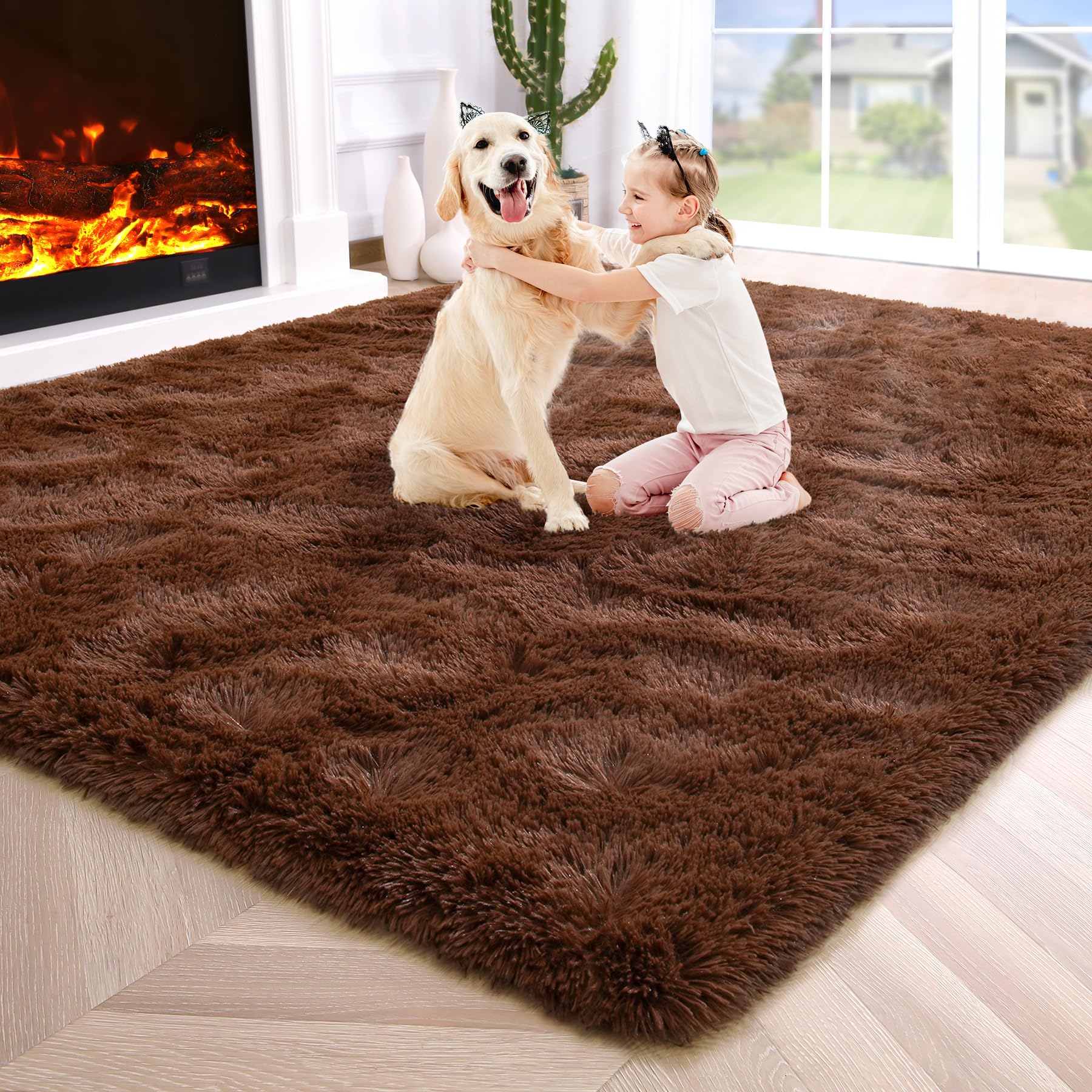 Fluffy Area Rugs Shag Throw Floor Carpet, Soft Shaggy Bedside Non-Slip Plush Rug Home Decor Aesthetic