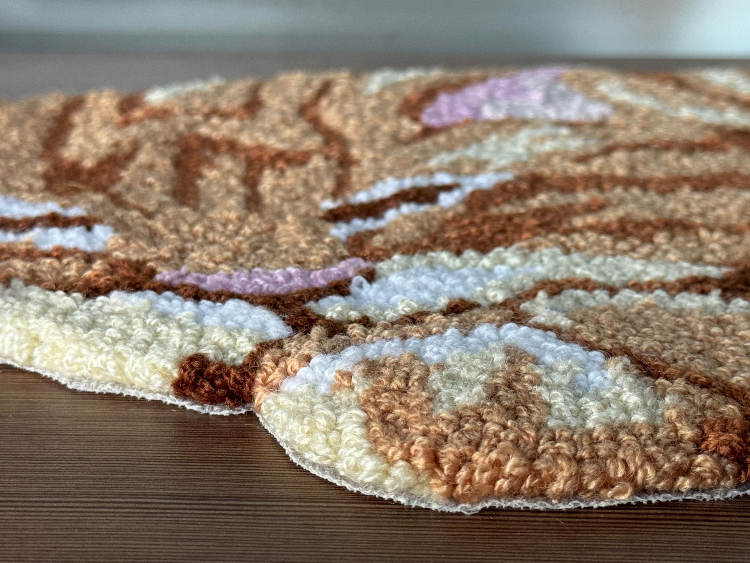 Shaped Hand-Hooked Accent Rug Throw Rug Area Rug Door Mat for Home décor