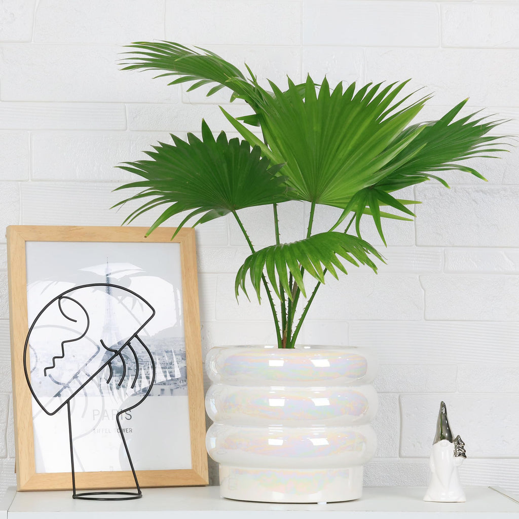 Ceramic Plant Pots for Indoor Plants, Rainbow Pearl Glaze Planter with Planters for Plants with Drainage Hole