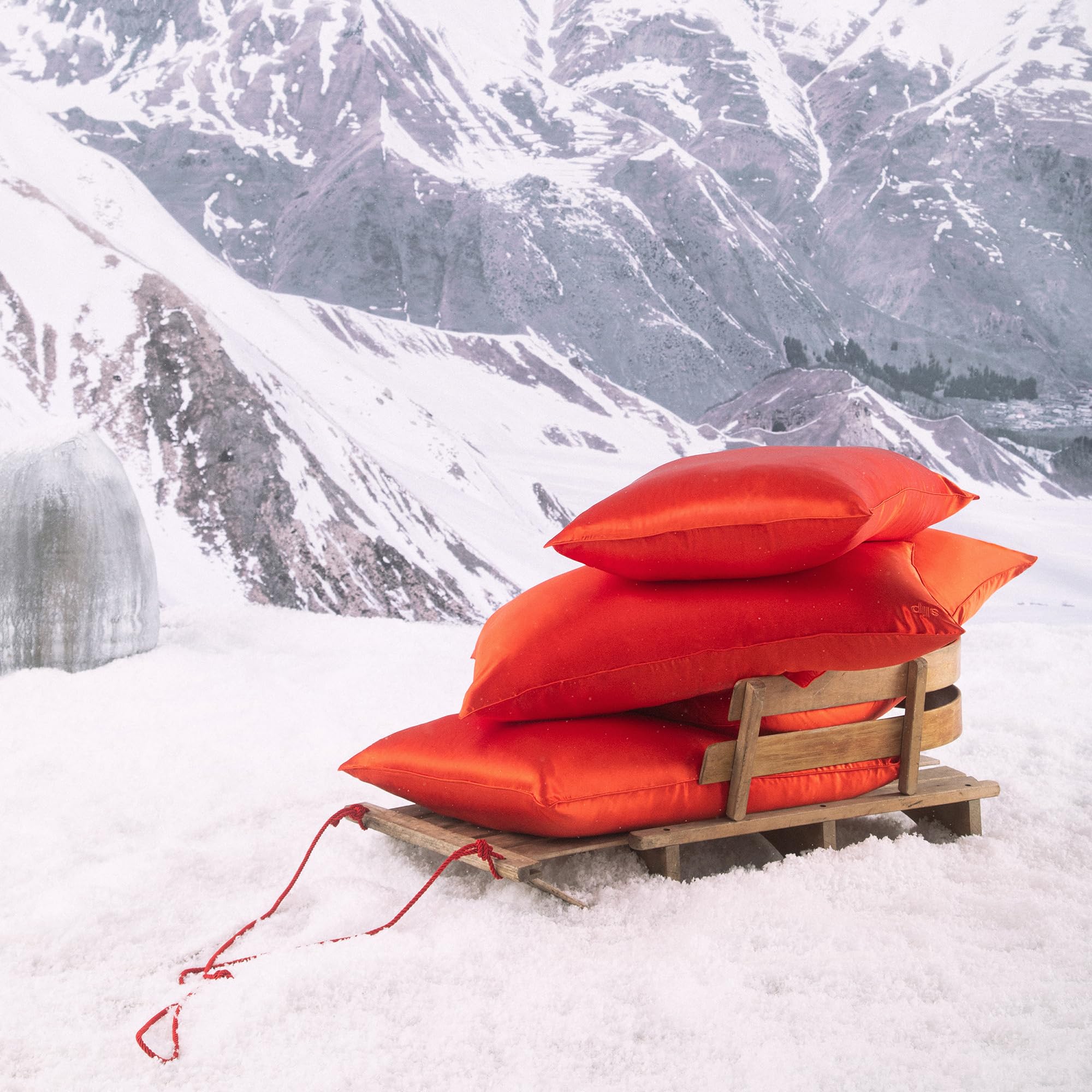 Pure Silk Pillow Case with Scalloped Edge - 100% Pure 22 Momme Mulberry Silk - Queen Size Standard Pillow Case - Anti-Aging, Anti-BedHead, Anti-Sleep Crease, Sunshade (20" x 30")