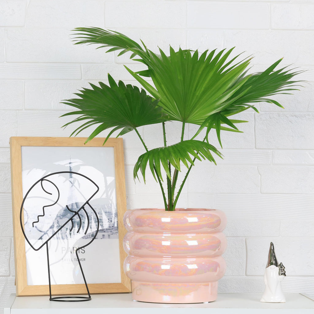 Ceramic Plant Pots for Indoor Plants, Rainbow Pearl Glaze Planter with Planters for Plants with Drainage Hole