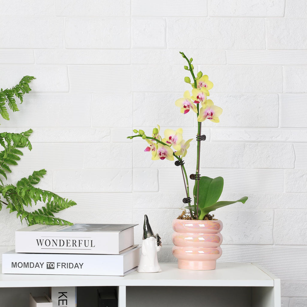 Ceramic Plant Pots for Indoor Plants, Rainbow Pearl Glaze Planter with Planters for Plants with Drainage Hole