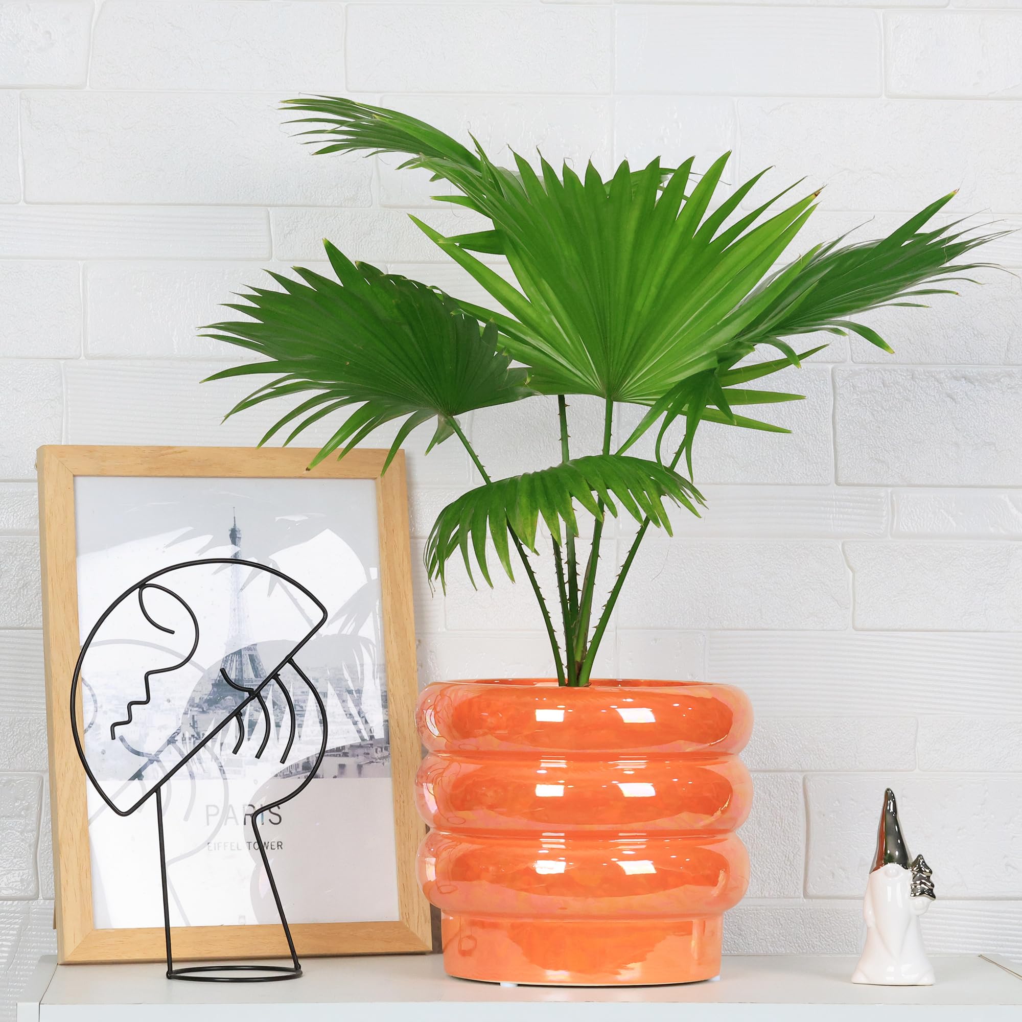 Ceramic Plant Pots for Indoor Plants, Rainbow Pearl Glaze Planter with Planters for Plants with Drainage Hole