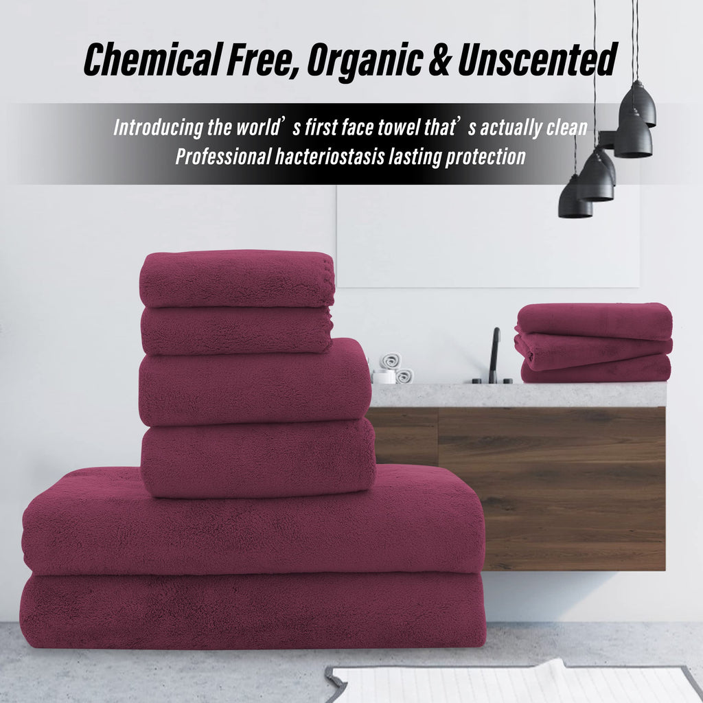 Ultra Soft Towel Set - Quick Drying - 2 Bath Towels 2 Hand Towels 2 Washcloths - Microfiber Coral Velvet Highly Absorbent Towel (6 Pcs)