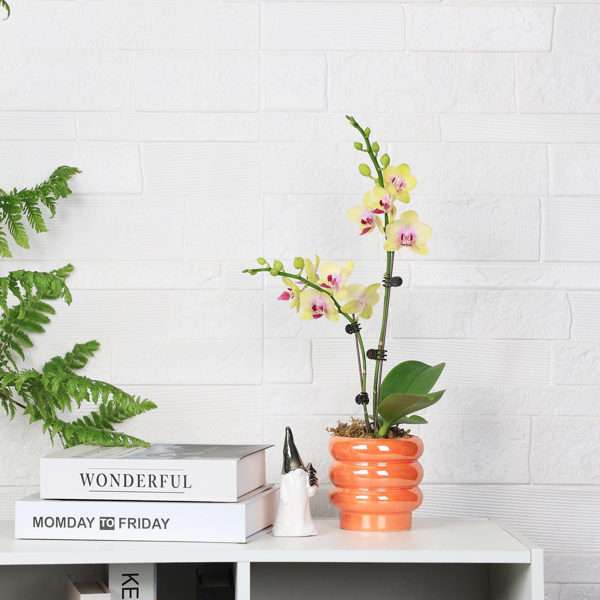 Ceramic Plant Pots for Indoor Plants, Rainbow Pearl Glaze Planter with Planters for Plants with Drainage Hole