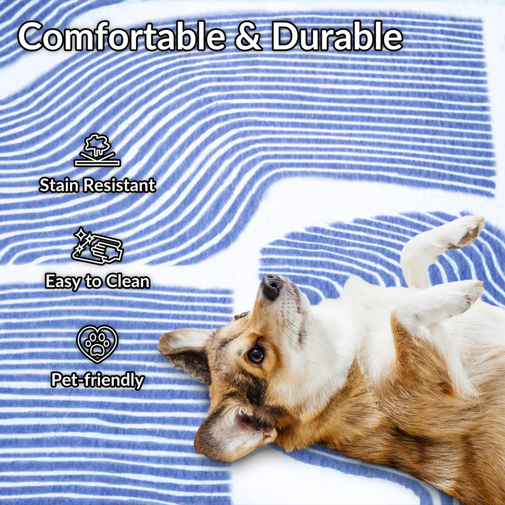 Zen Garden Area Rug - Ultra Soft Area Rug, Non Slip, Stain Resistant Living Room Rug, Washable Area Rugs for Living Room, Rugs for Bedroom