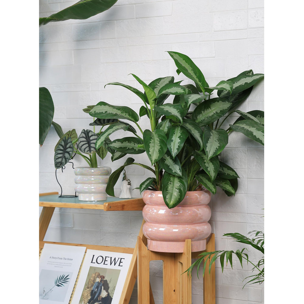 Ceramic Plant Pots for Indoor Plants, Rainbow Pearl Glaze Planter with Planters for Plants with Drainage Hole