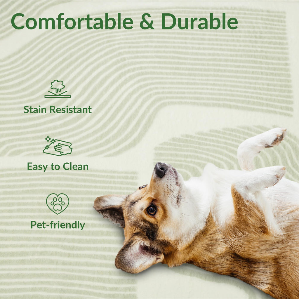 Zen Garden Area Rug - Ultra Soft Area Rug, Non Slip, Stain Resistant Living Room Rug, Washable Area Rugs for Living Room, Rugs for Bedroom