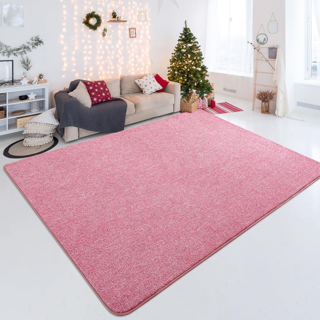 Shag Rugs with Memory Foam for Living Room Dorm, Machine Washable Carpet