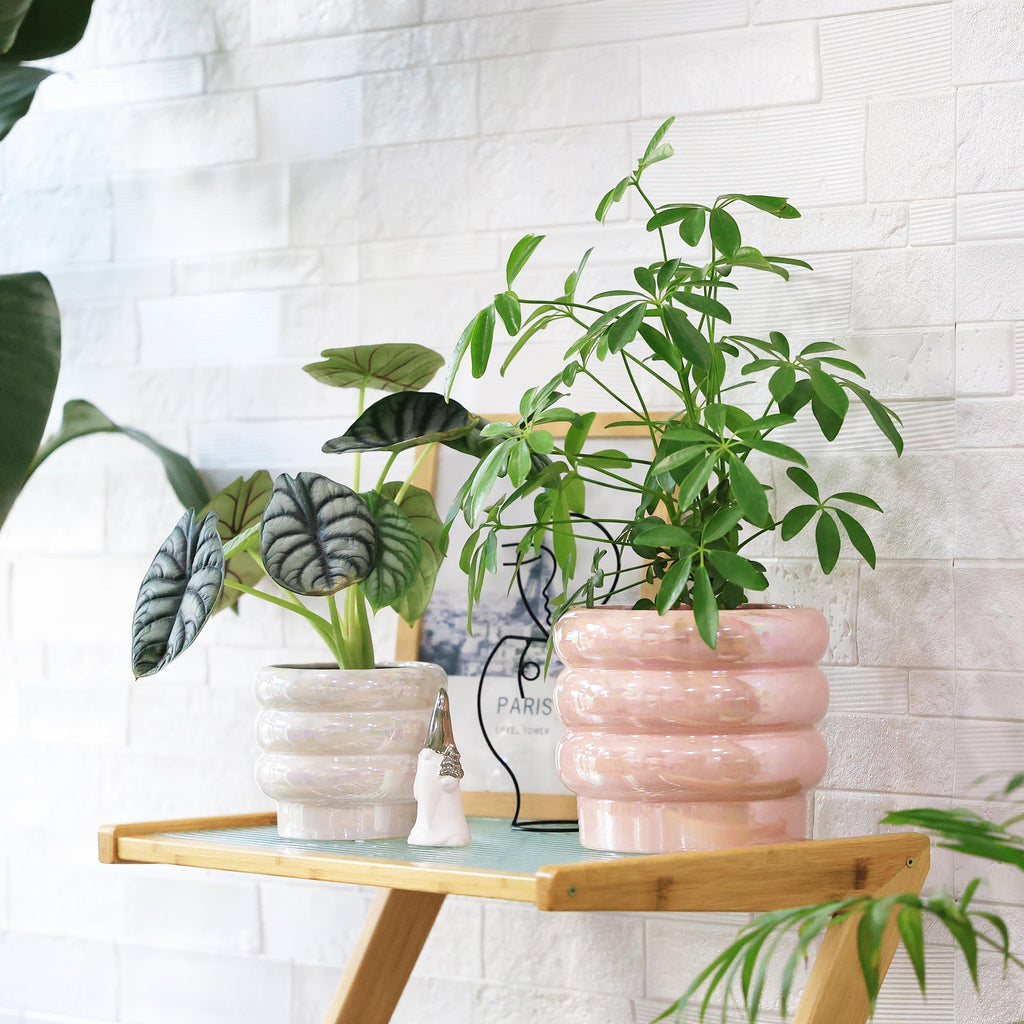 Ceramic Plant Pots for Indoor Plants, Rainbow Pearl Glaze Planter with Planters for Plants with Drainage Hole