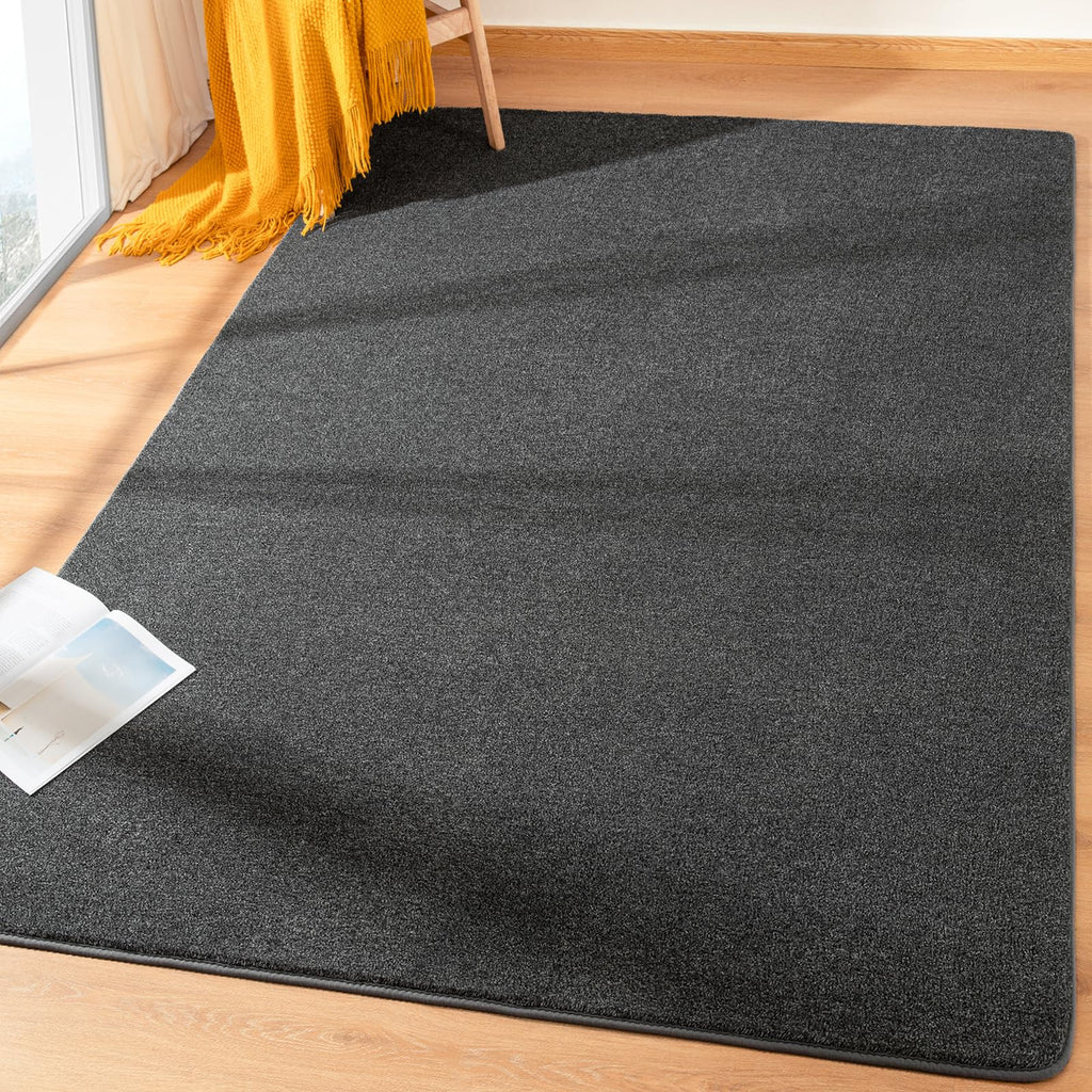 Shag Rugs with Memory Foam for Living Room Dorm, Machine Washable Carpet