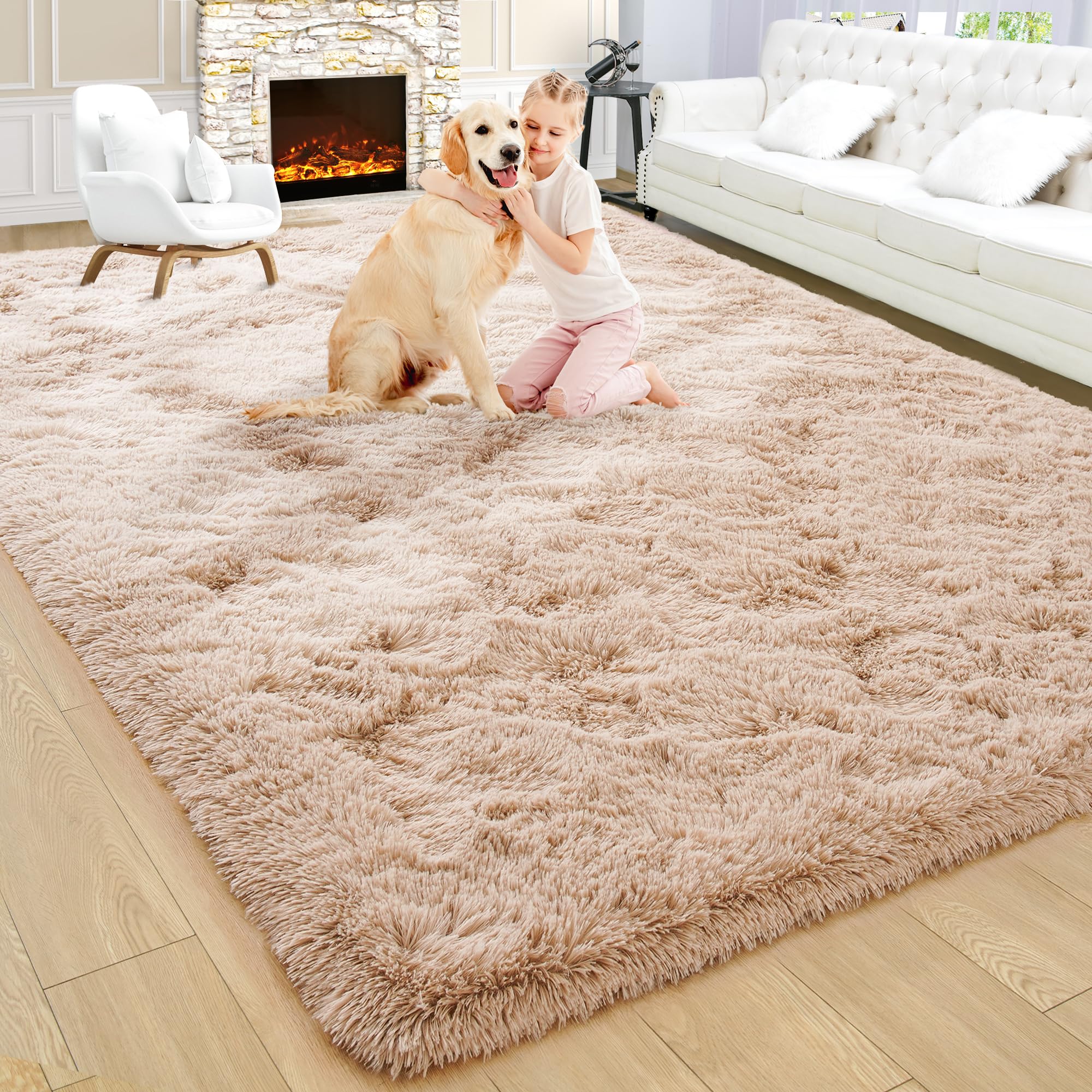 Fluffy Area Rugs Shag Throw Floor Carpet, Soft Shaggy Bedside Non-Slip Plush Rug Home Decor Aesthetic