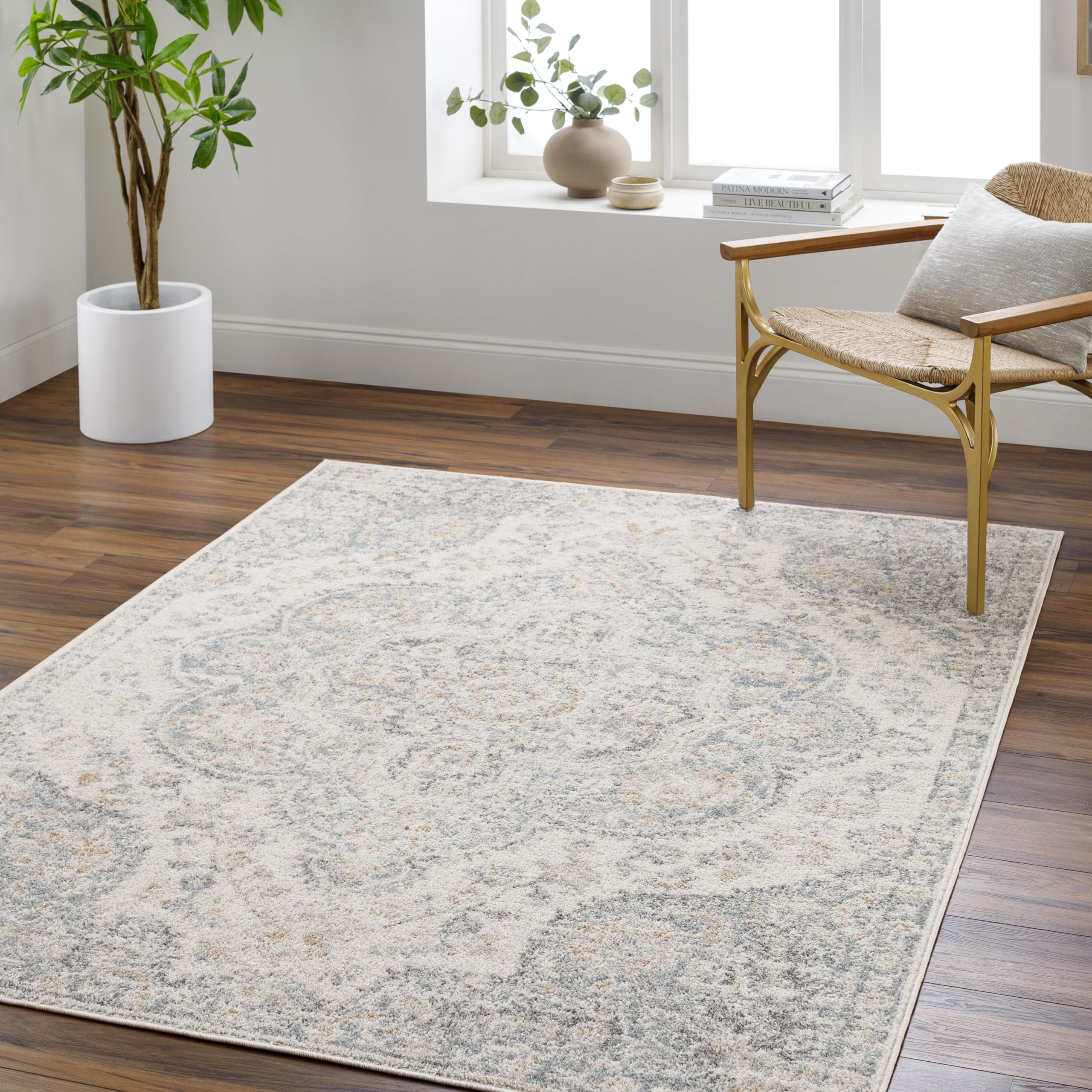 Romaine Vintage Medallion Area Rug