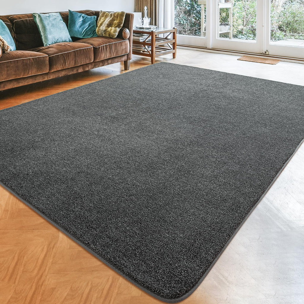 Shag Rugs with Memory Foam for Living Room Dorm, Machine Washable Carpet