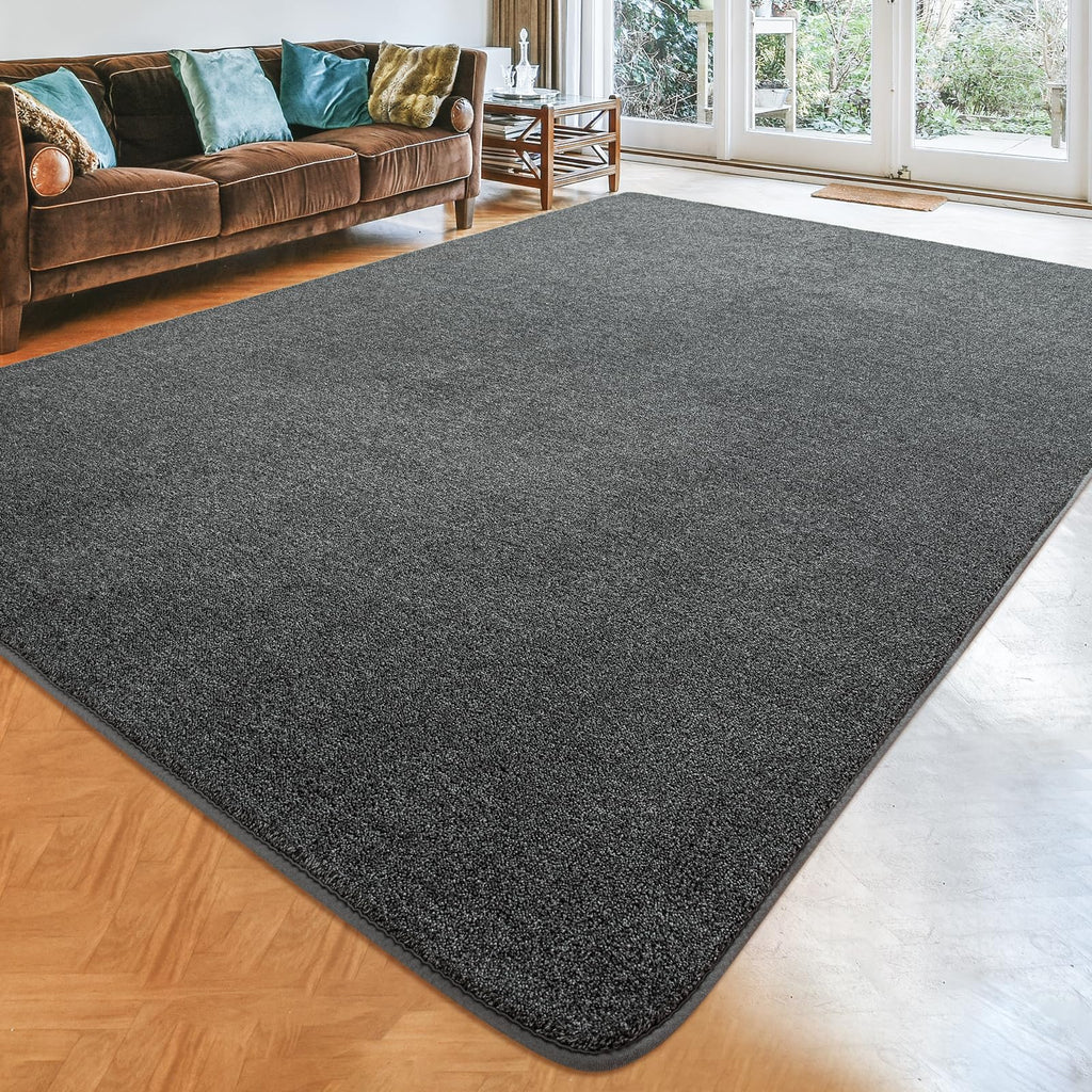 Shag Rugs with Memory Foam for Living Room Dorm, Machine Washable Carpet