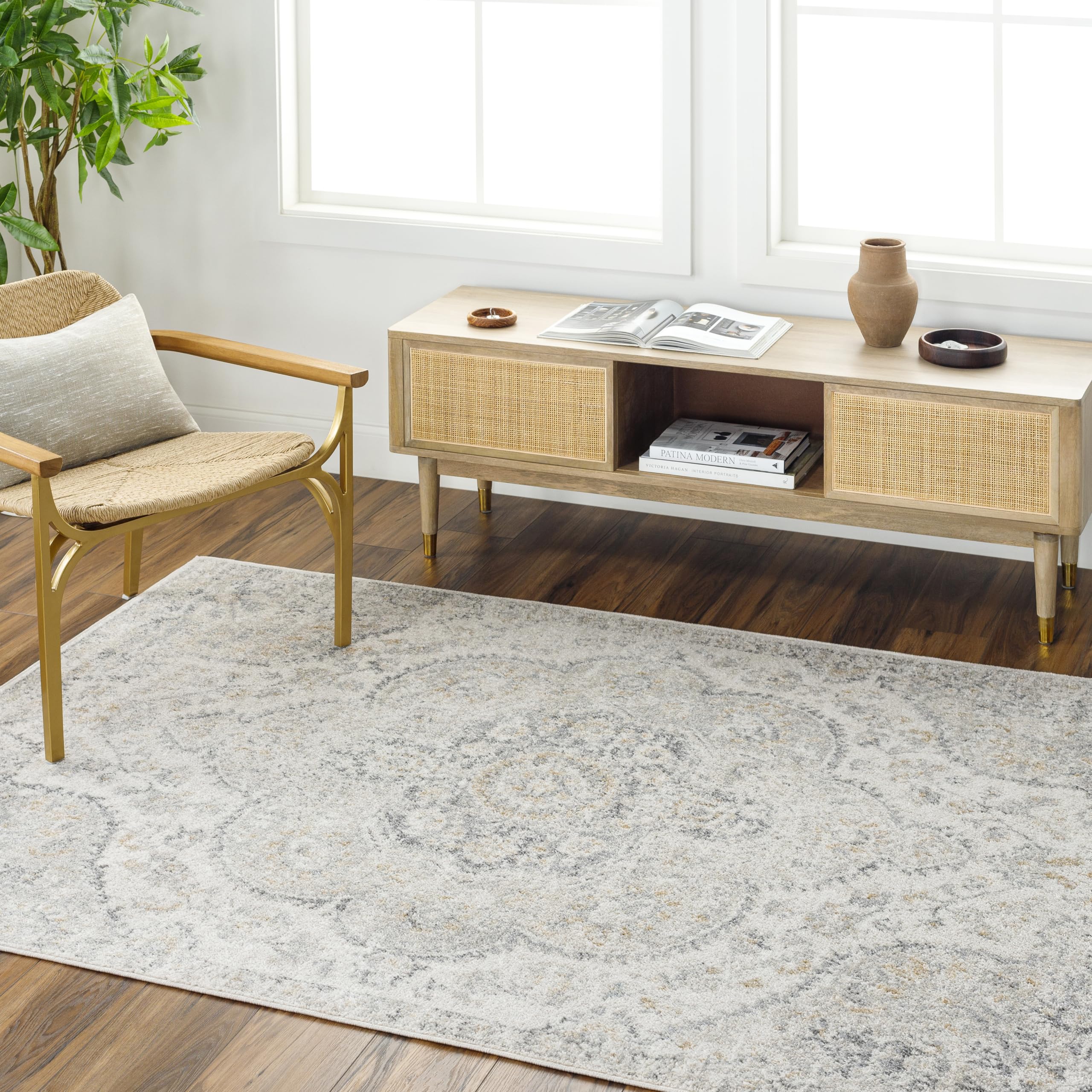 Romaine Vintage Medallion Area Rug