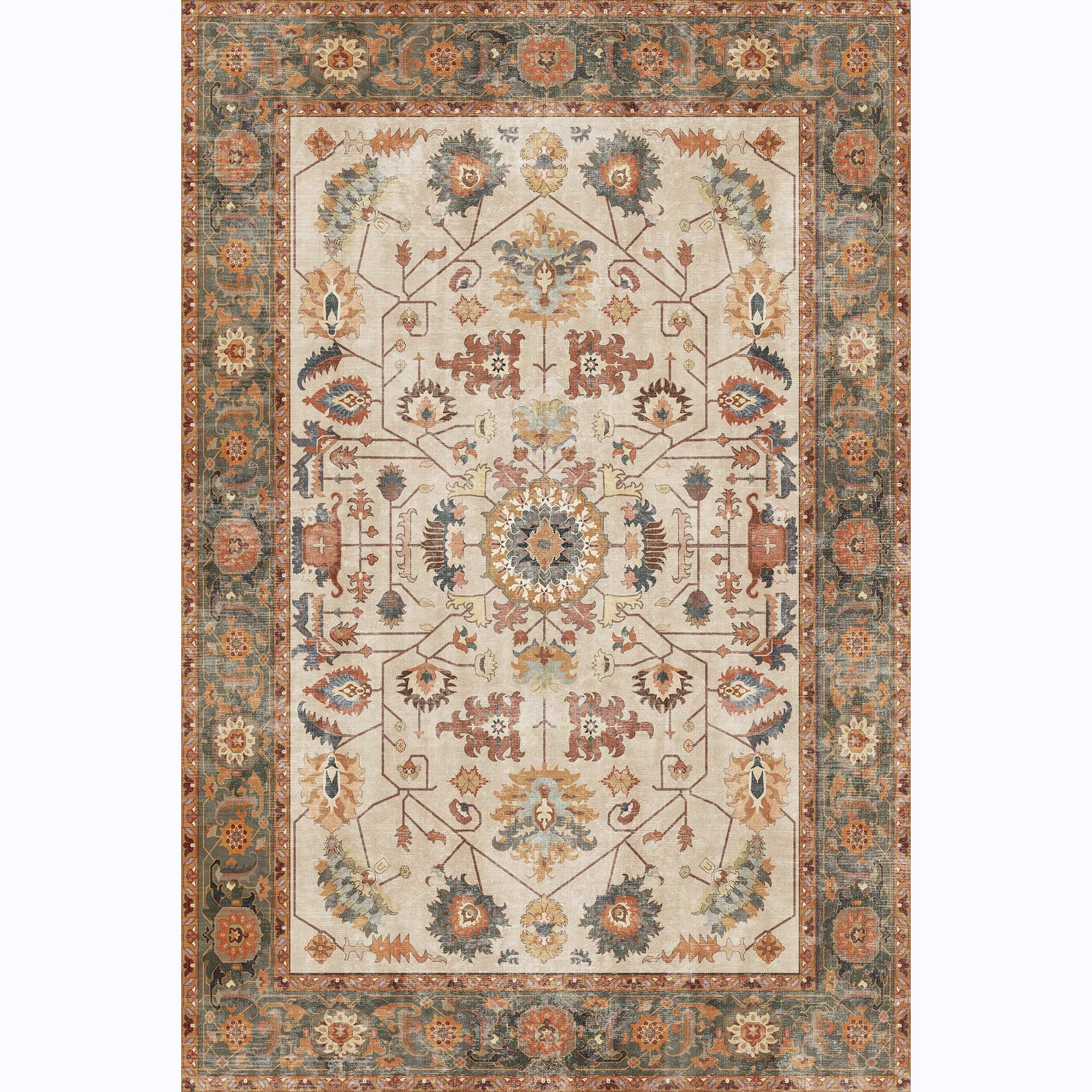 Vintage Stain Resistant Soft Oriental Rugs