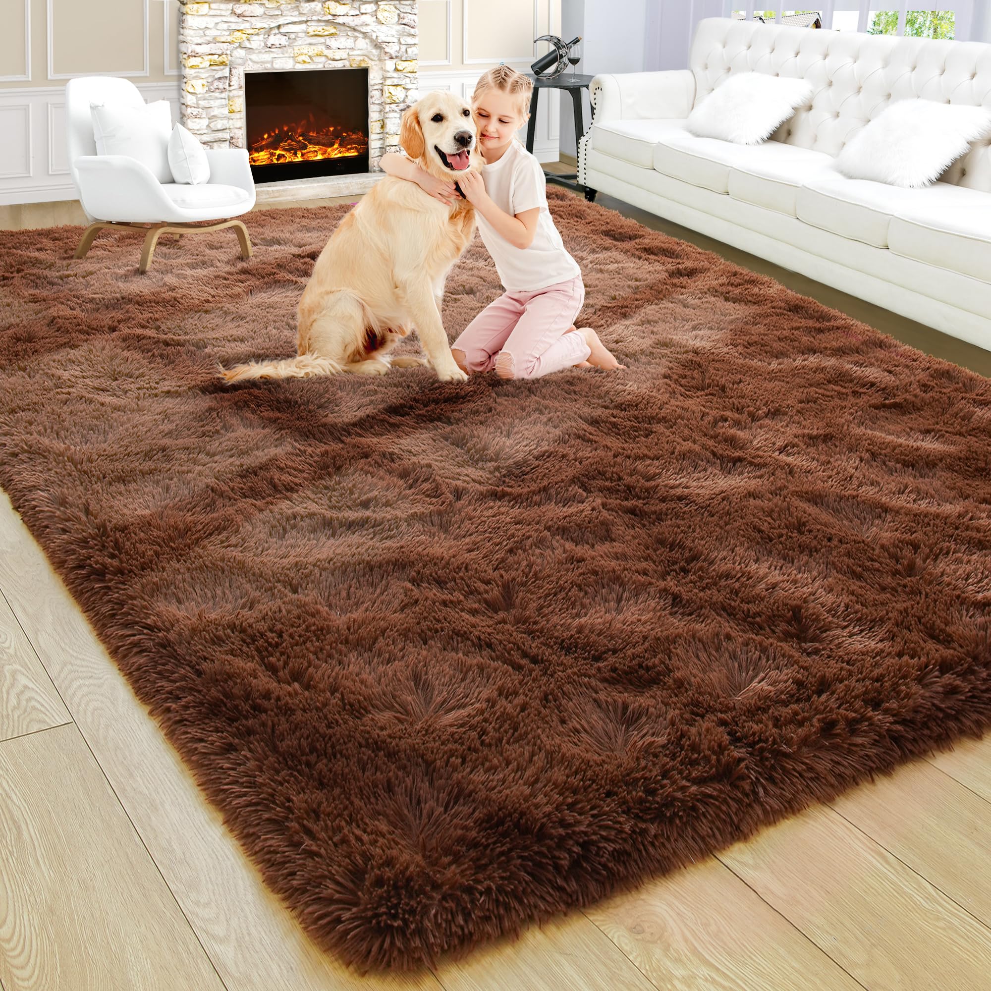 Fluffy Area Rugs Shag Throw Floor Carpet, Soft Shaggy Bedside Non-Slip Plush Rug Home Decor Aesthetic