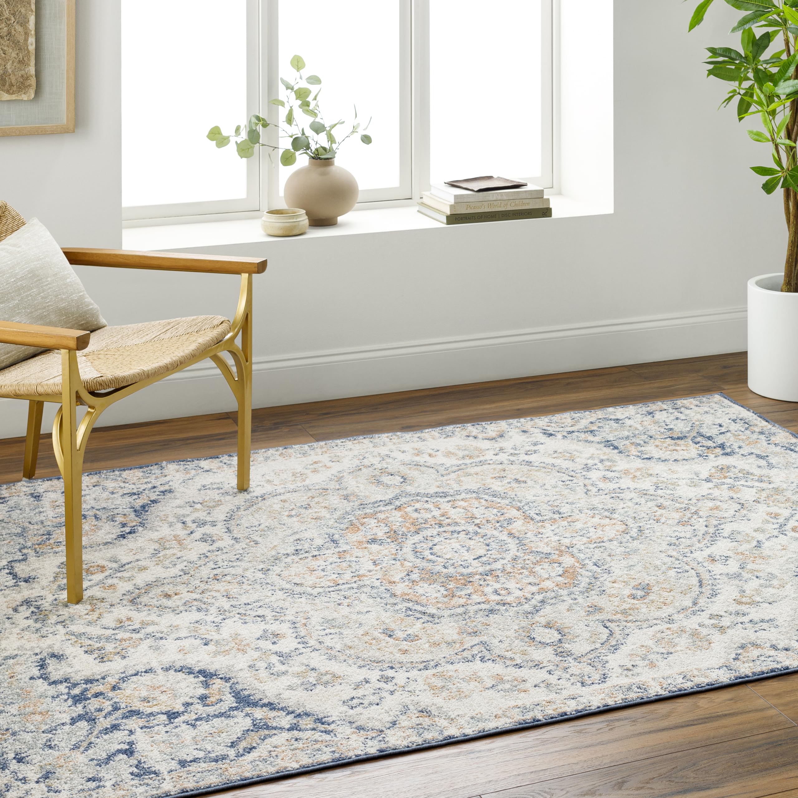 Romaine Vintage Medallion Area Rug