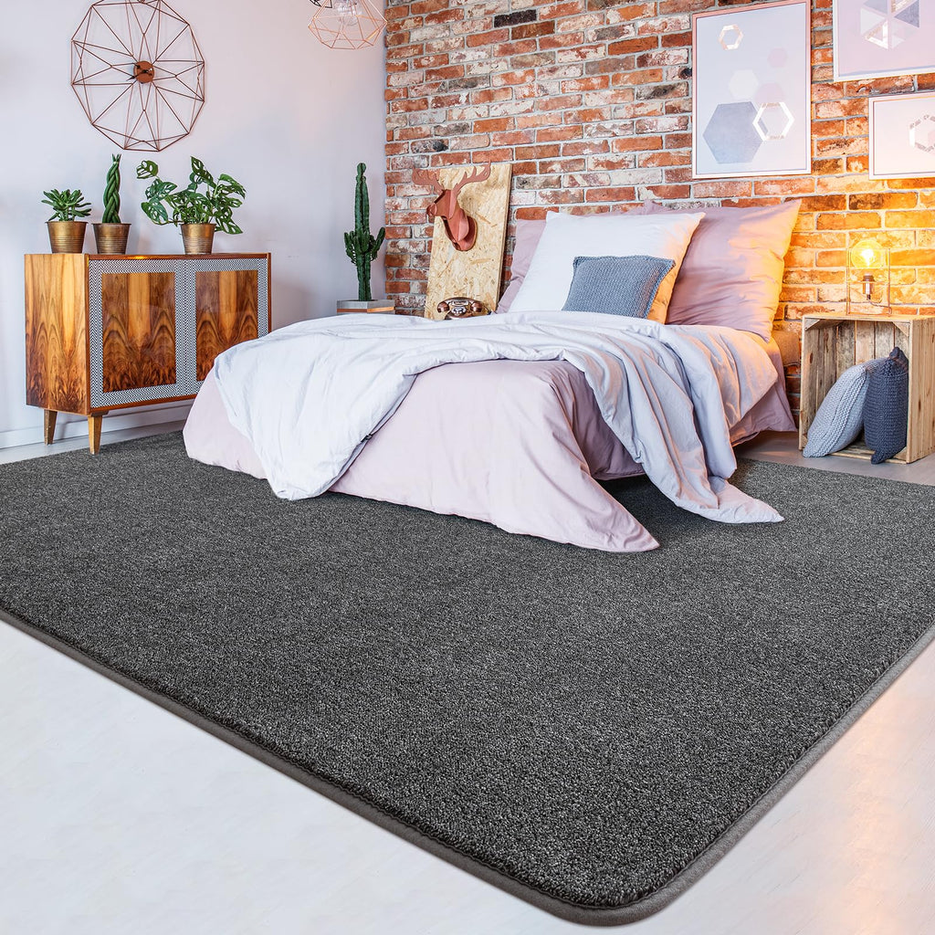 Shag Rugs with Memory Foam for Living Room Dorm, Machine Washable Carpet