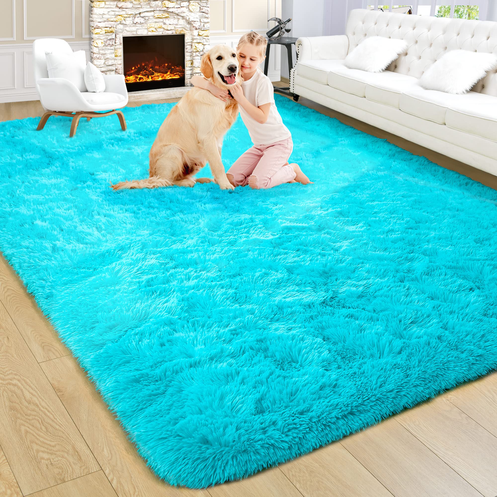 Fluffy Area Rugs Shag Throw Floor Carpet, Soft Shaggy Bedside Non-Slip Plush Rug Home Decor Aesthetic