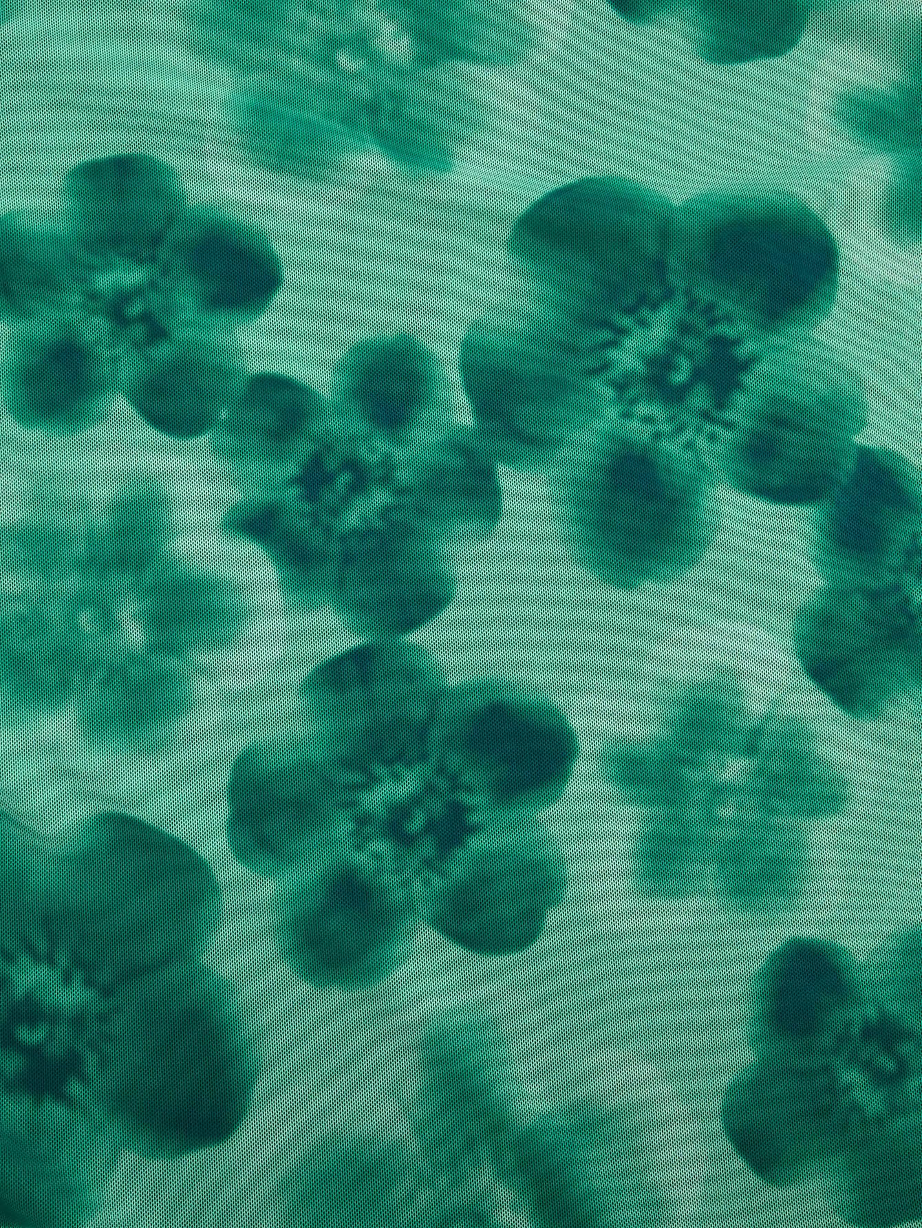 Women's Floral Mesh Mini Cami Dress Sleeveless Scoop Neck Lettuce Trim Bodycon Dress